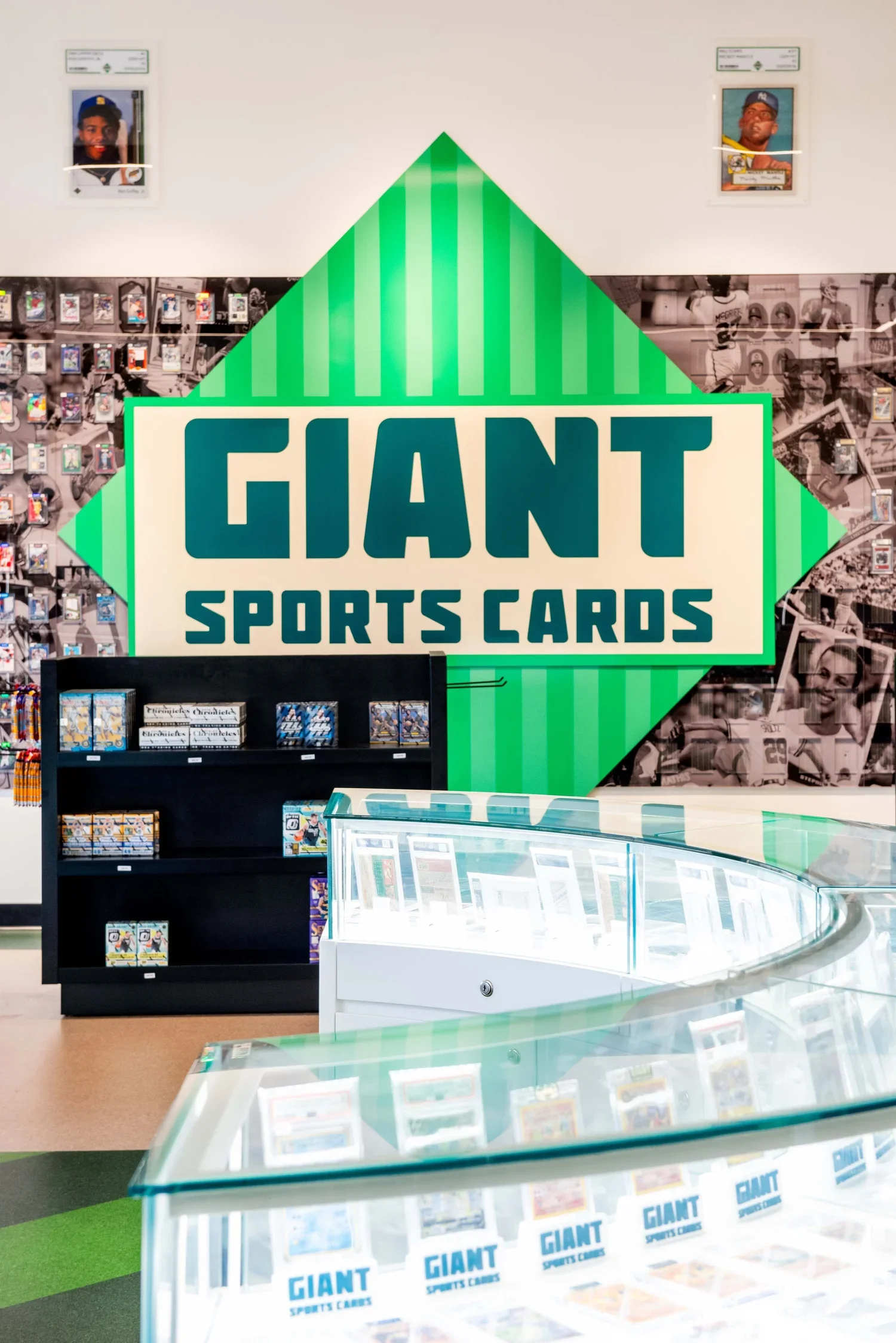 Minhnuyet_Hardy_GIant_sports_4462.webp
