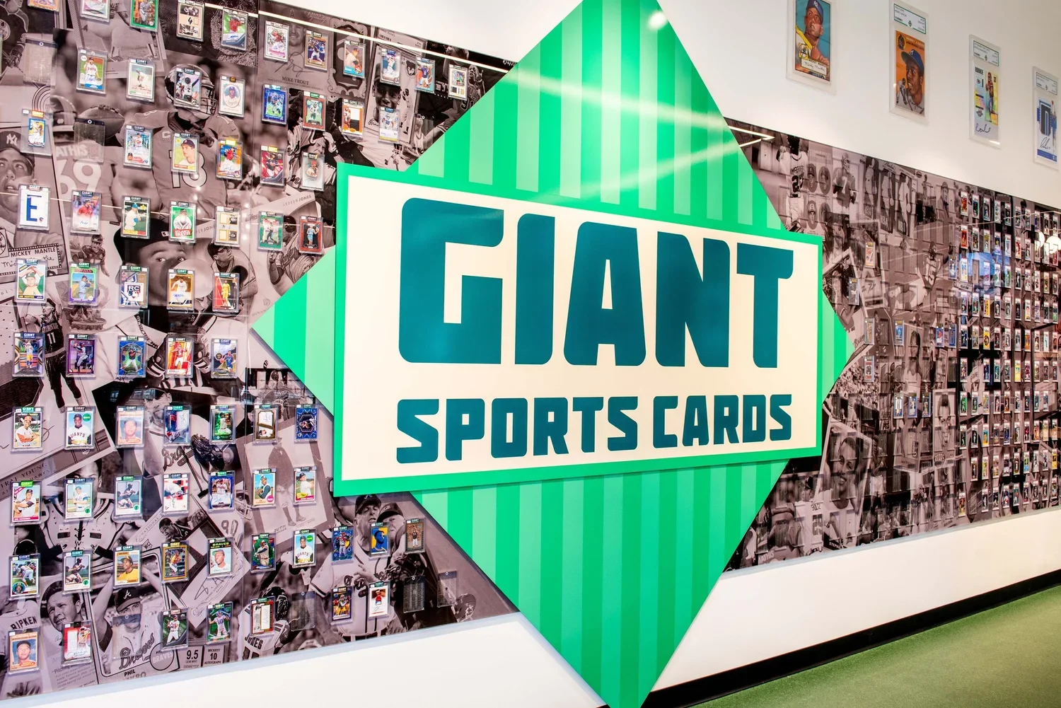 Minhnuyet_Hardy_GIant_sports_4597.webp