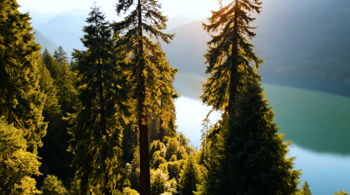 Screenshot 2026-04-14 at 12.38.02 AM.png