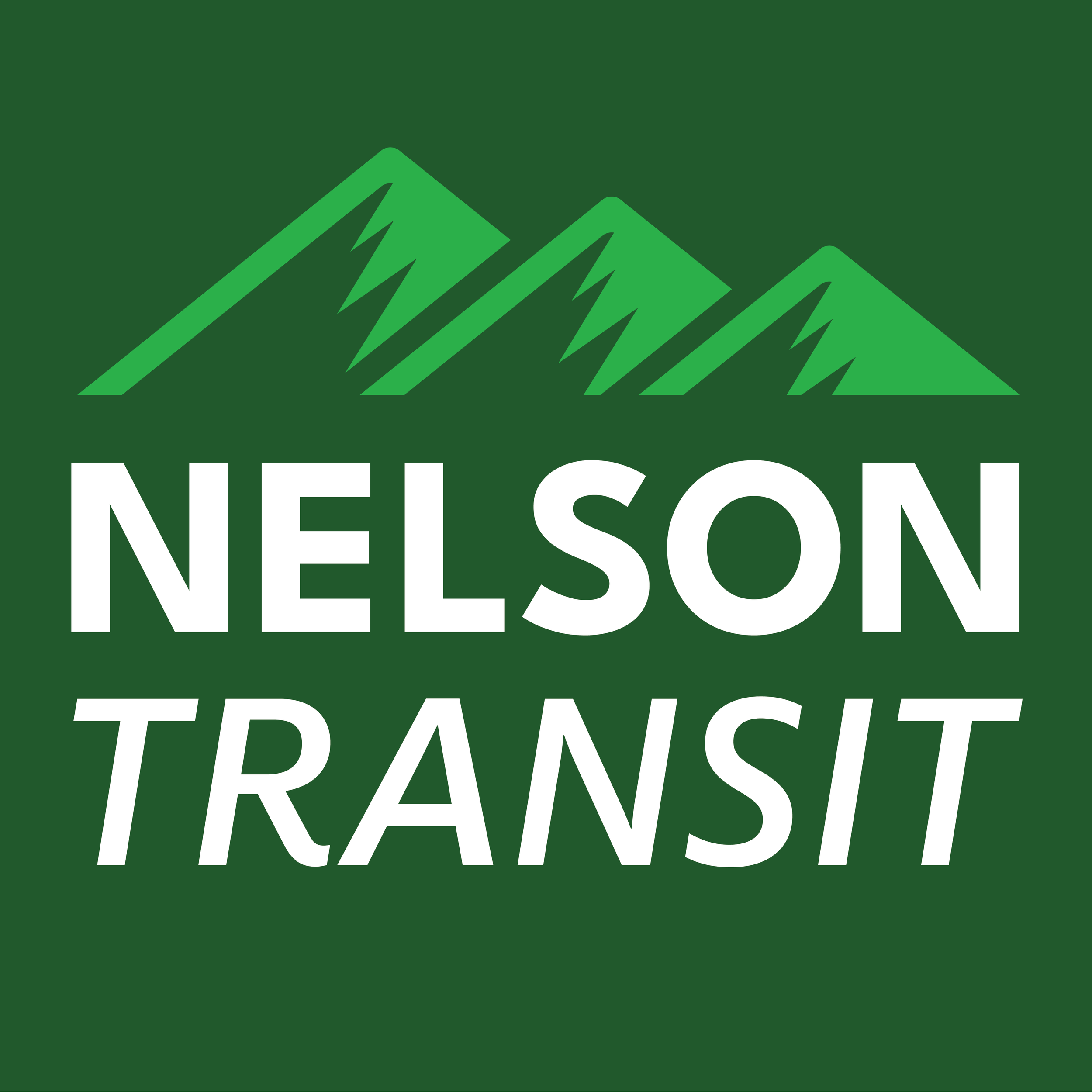 Nelson Transit Logo white_green_dark_green_background.png