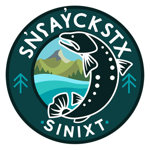 cropped-sinixt-logo-favicon_512px.png