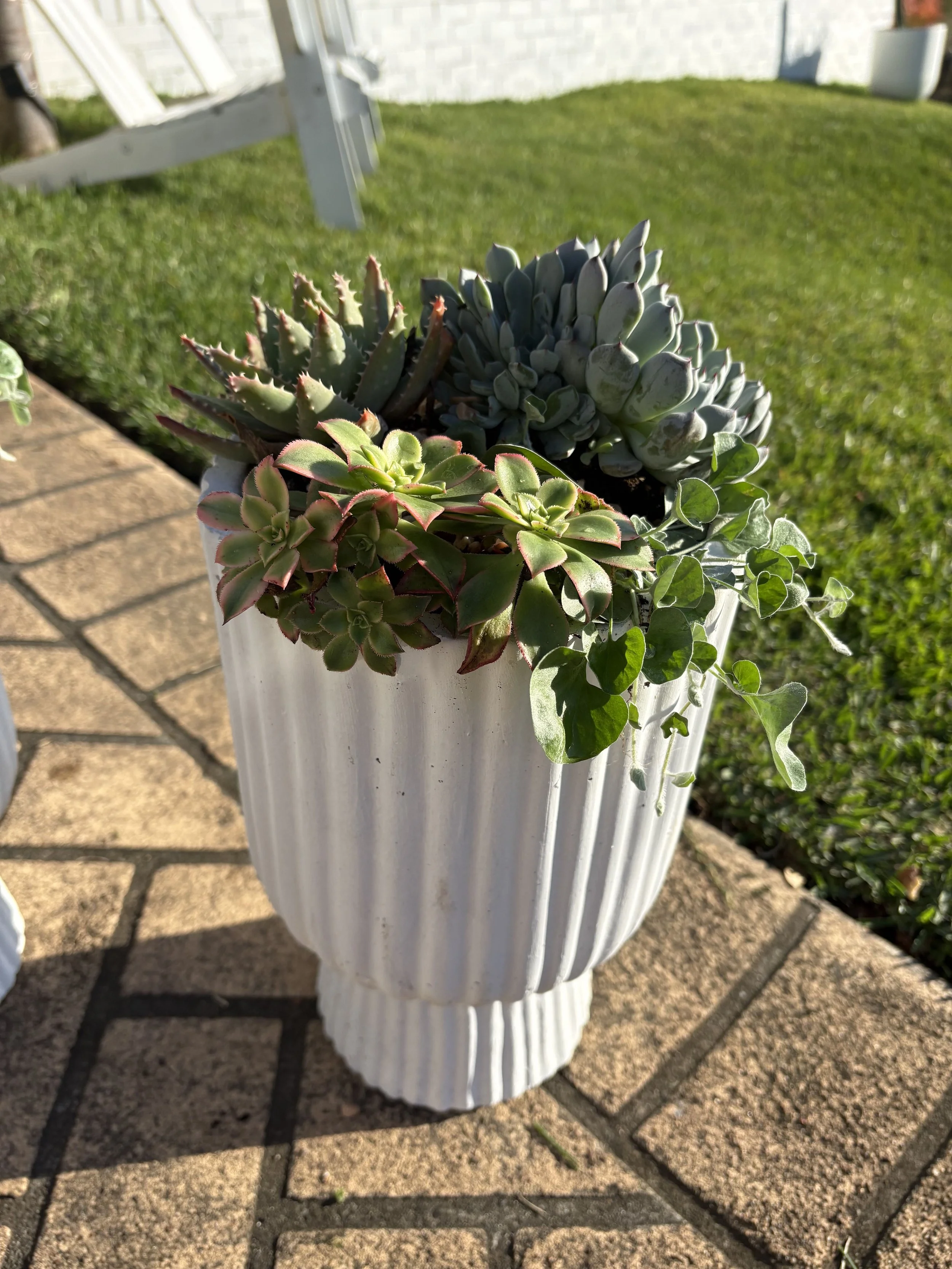 Tall vase style $100