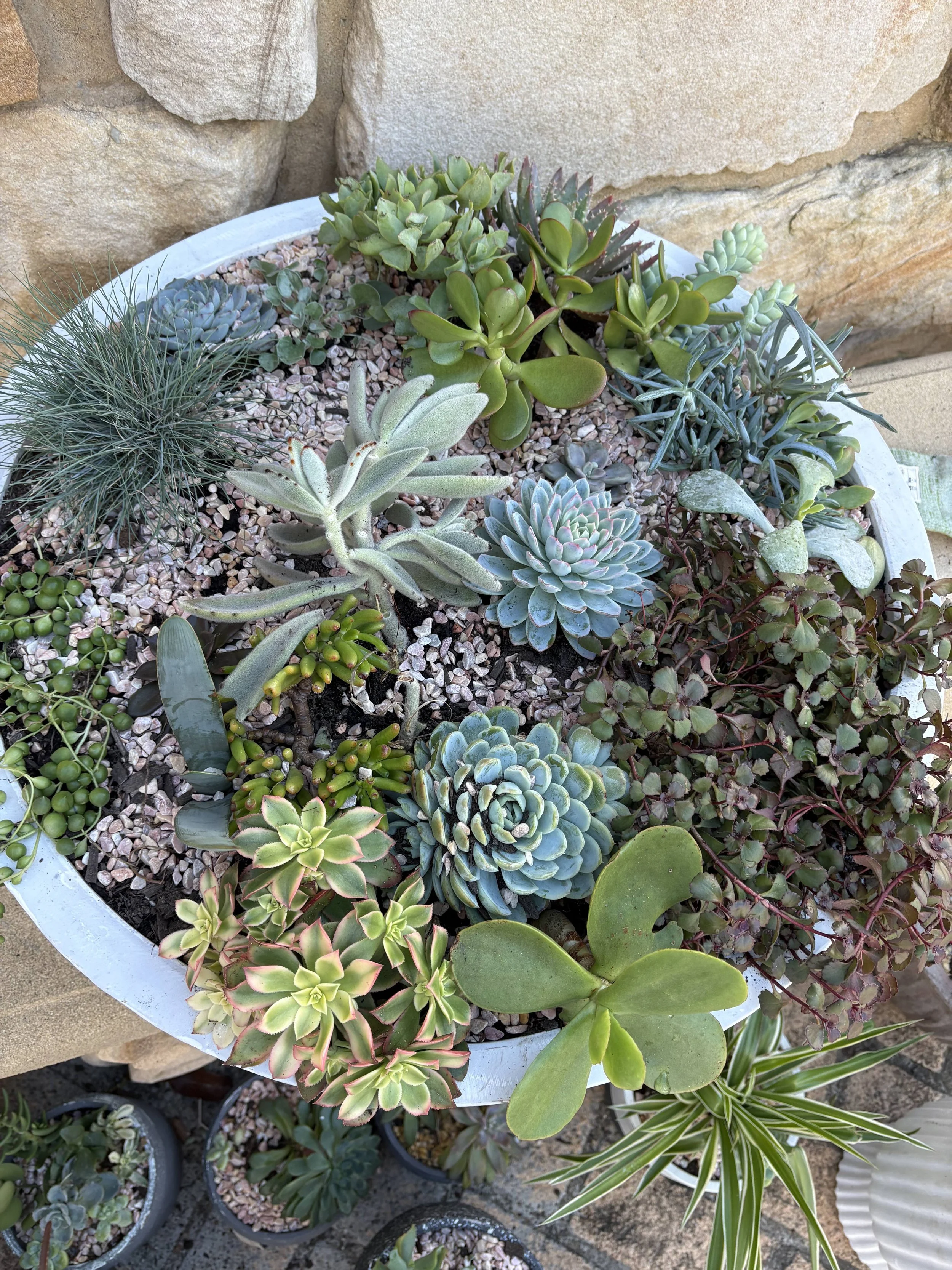 Extra large fibre glass bowl $200