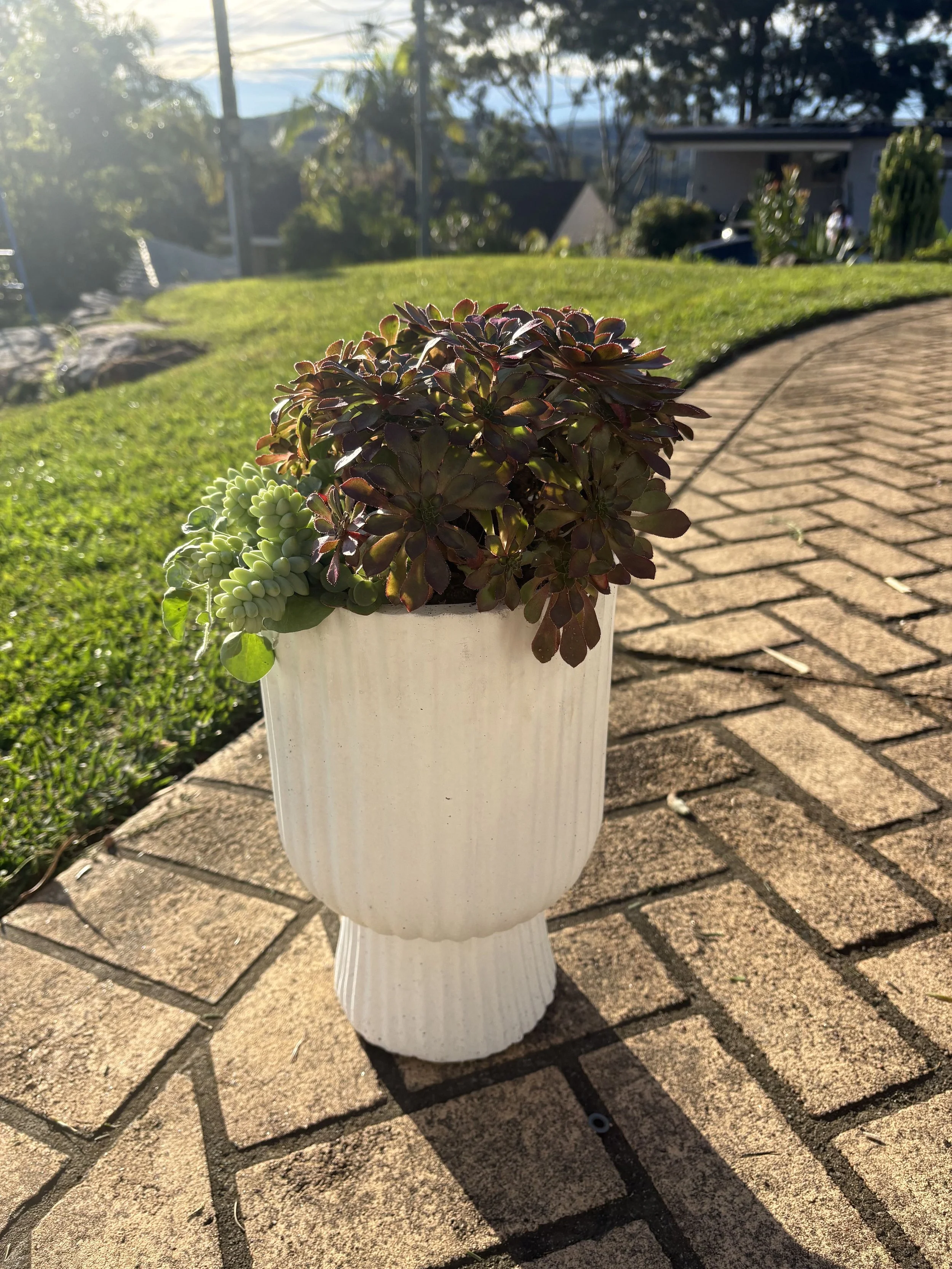 Tall vase style $100