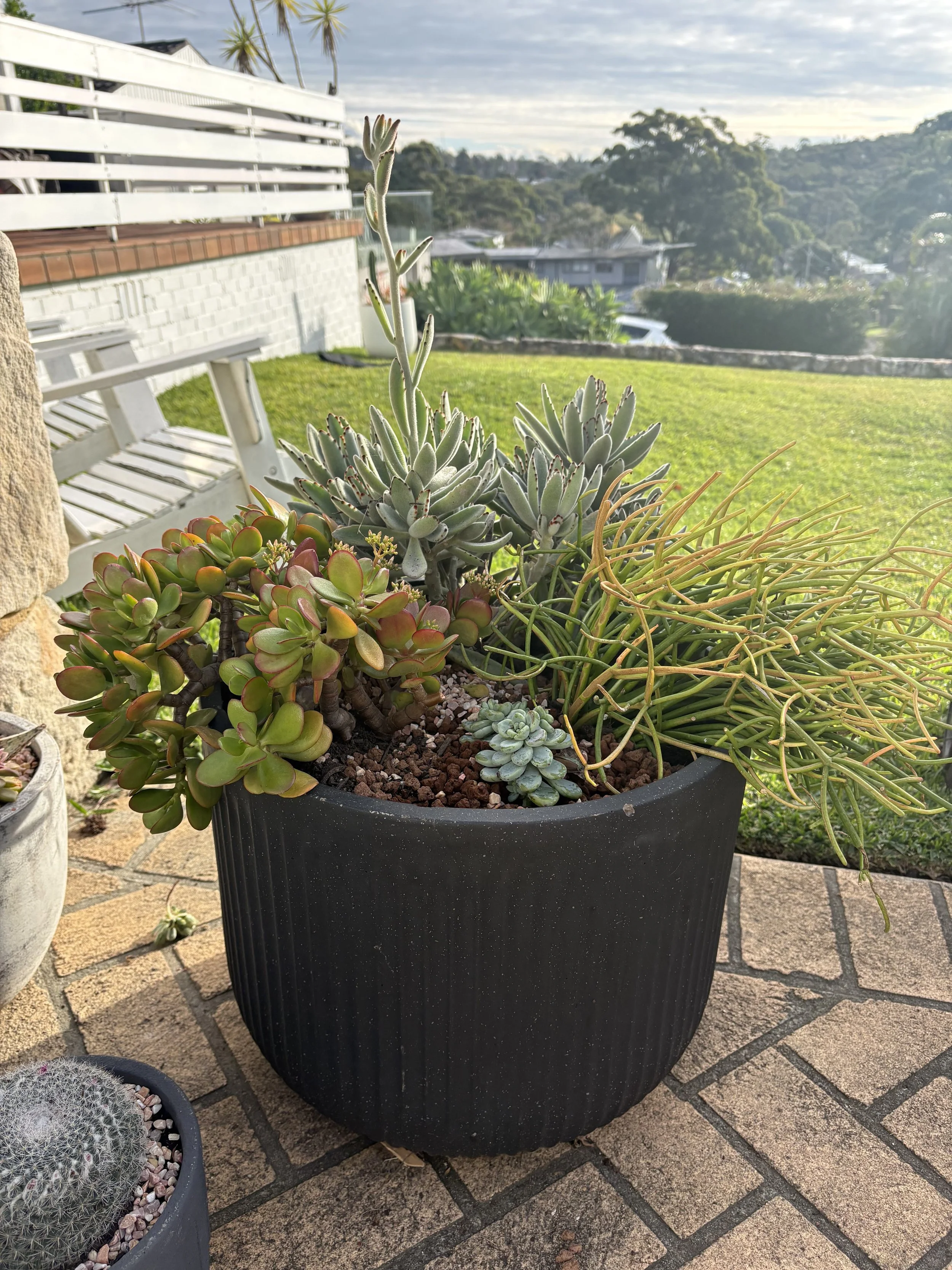 Large ceramic pot $150
