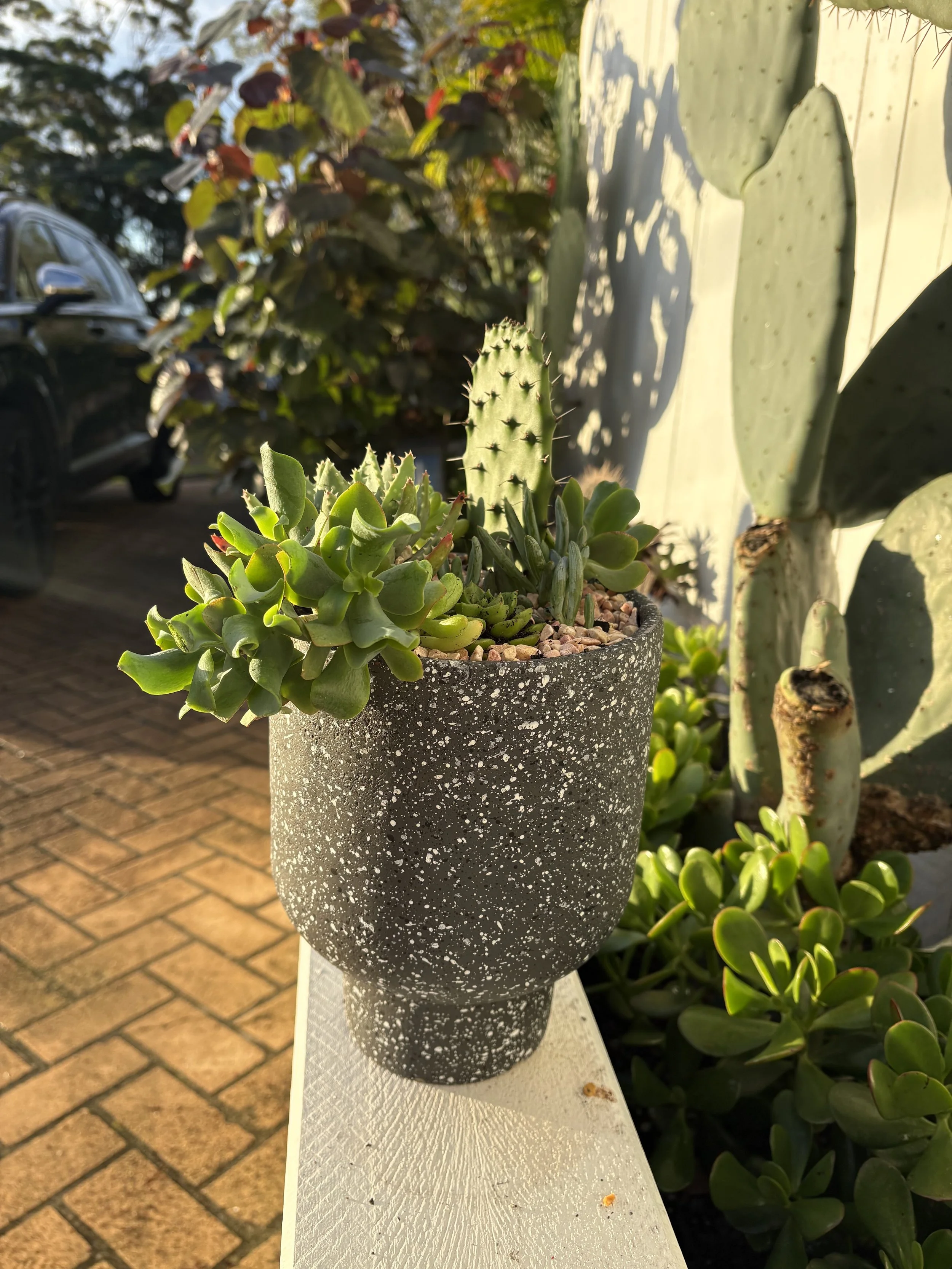 Terrazzo medium size
