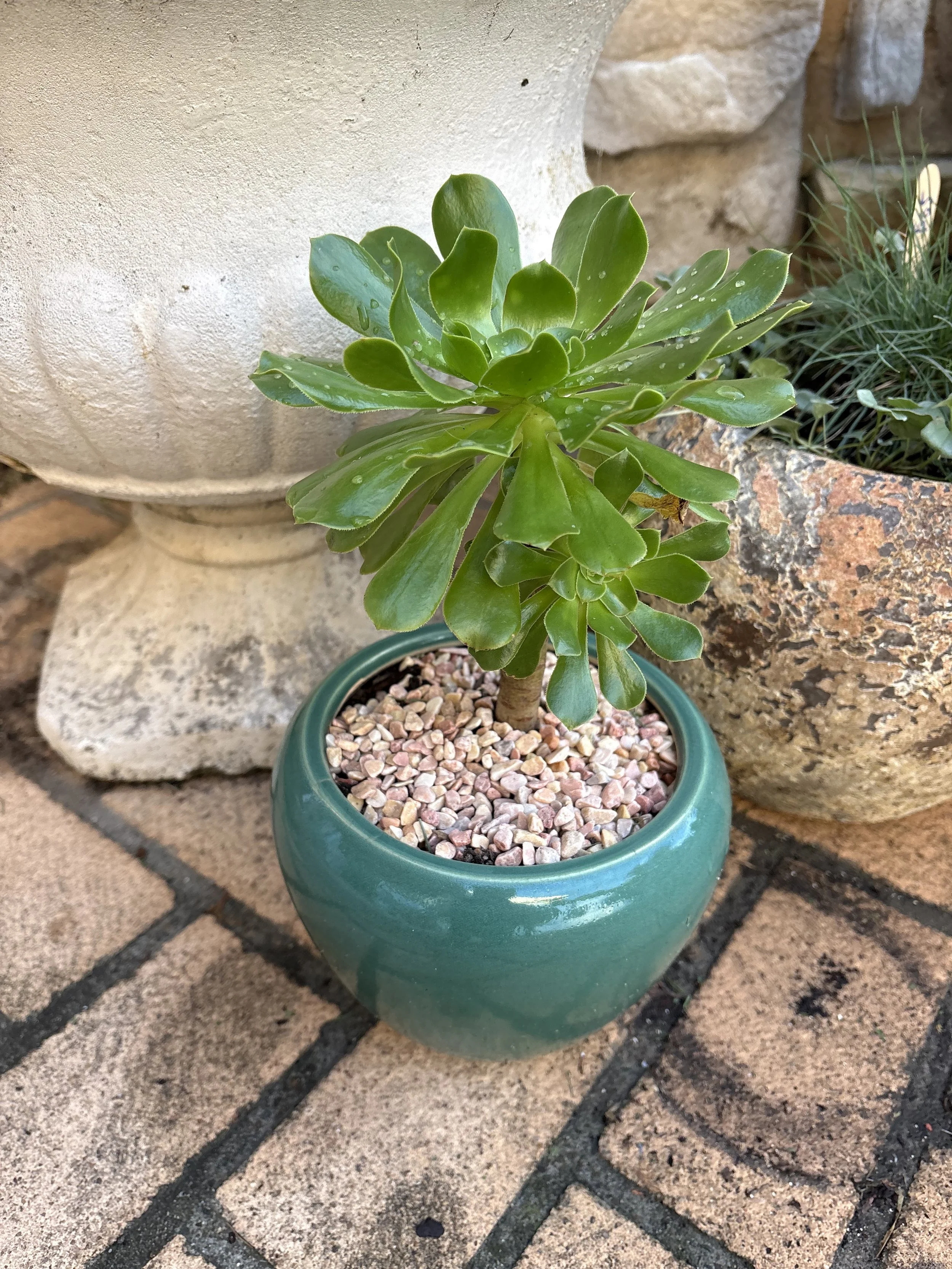 Small retro pot