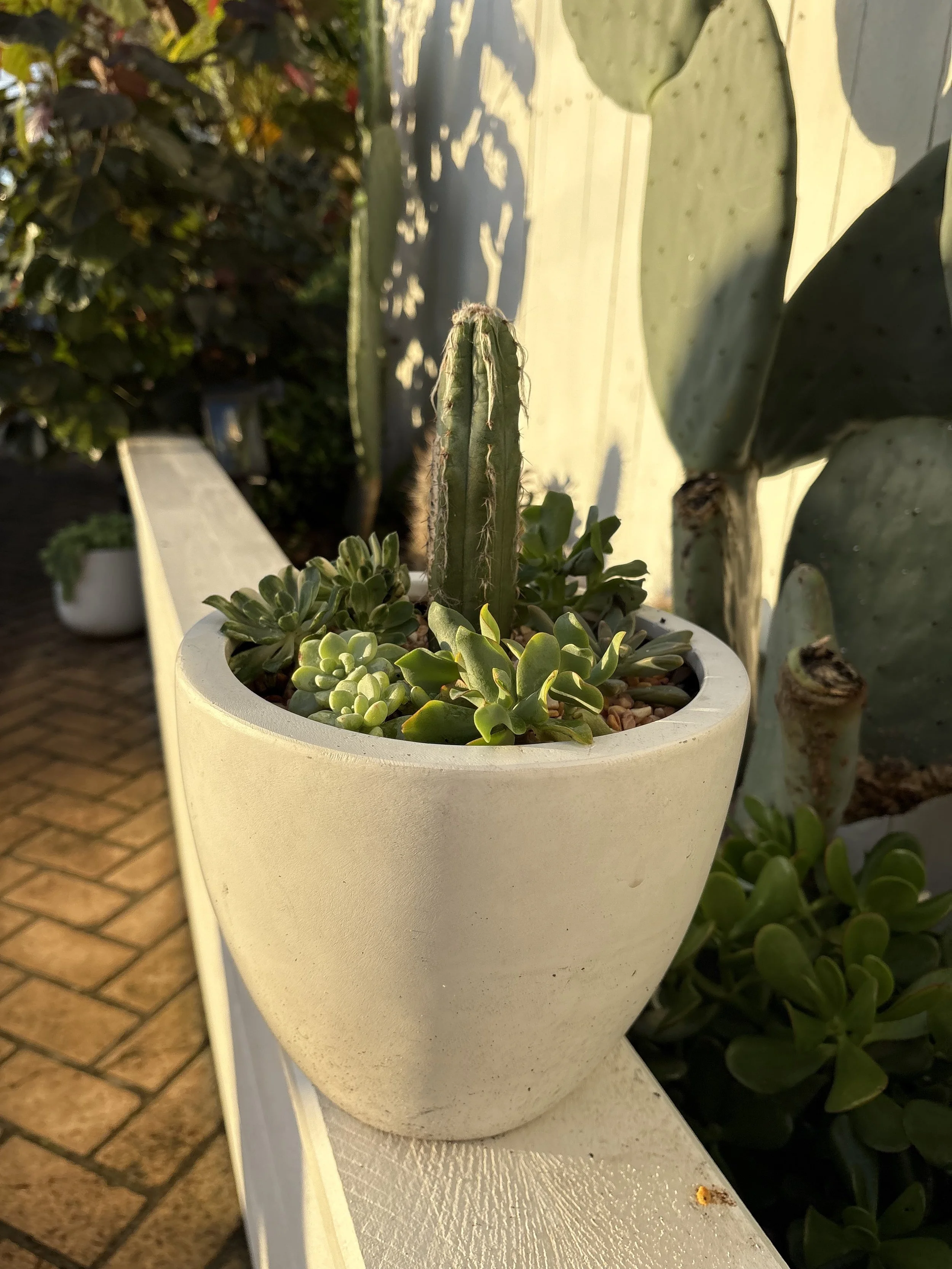Medium white pot