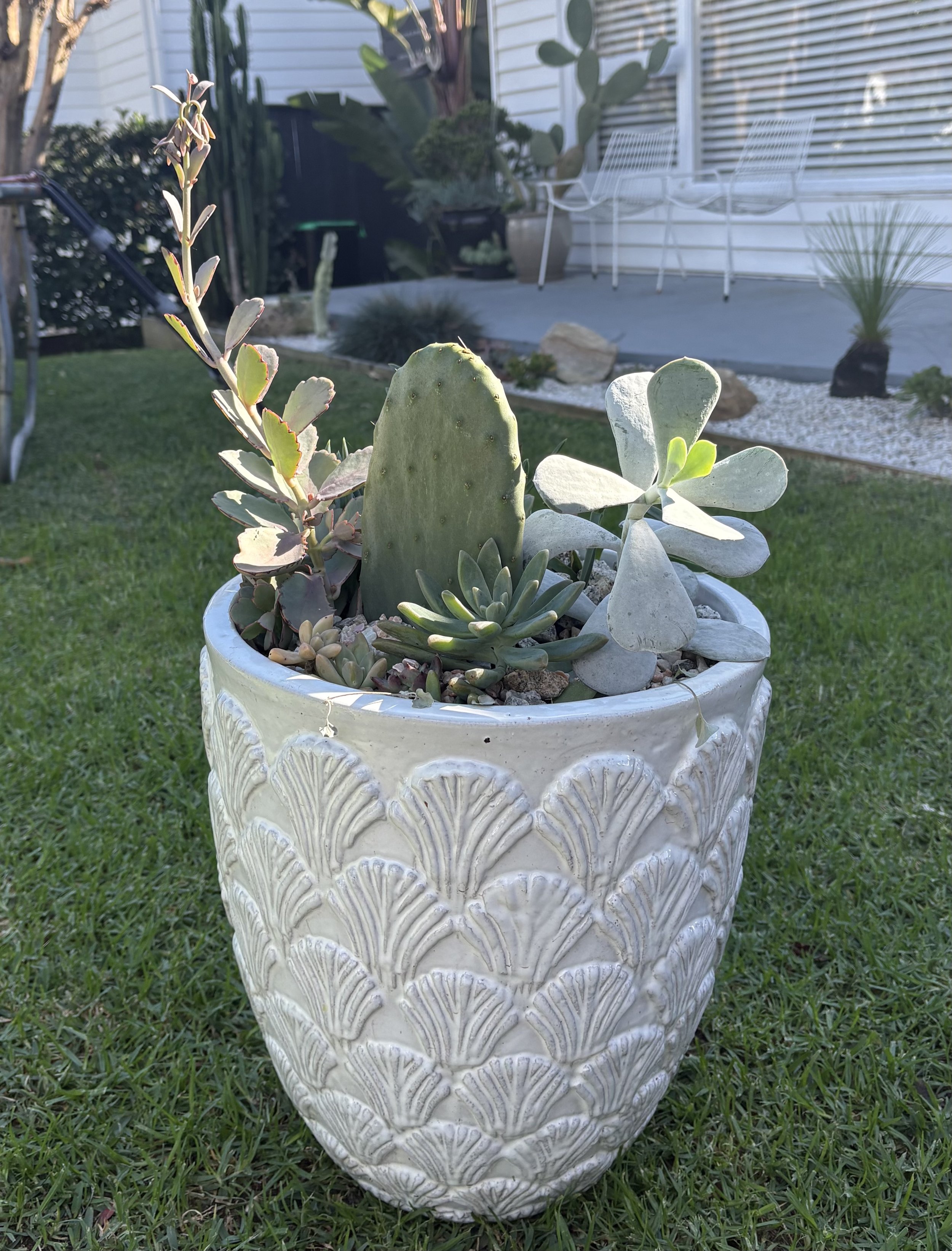 Large concrete shell pot