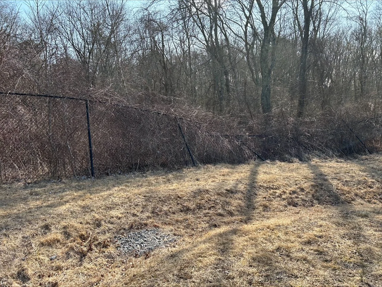 A8E1E8F1-C47F-4D34-847D-128FCE755774 (2).JPEG