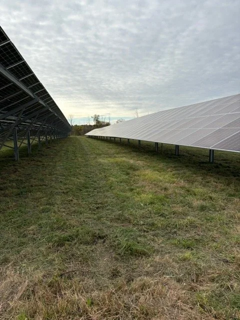 Vegetation Management