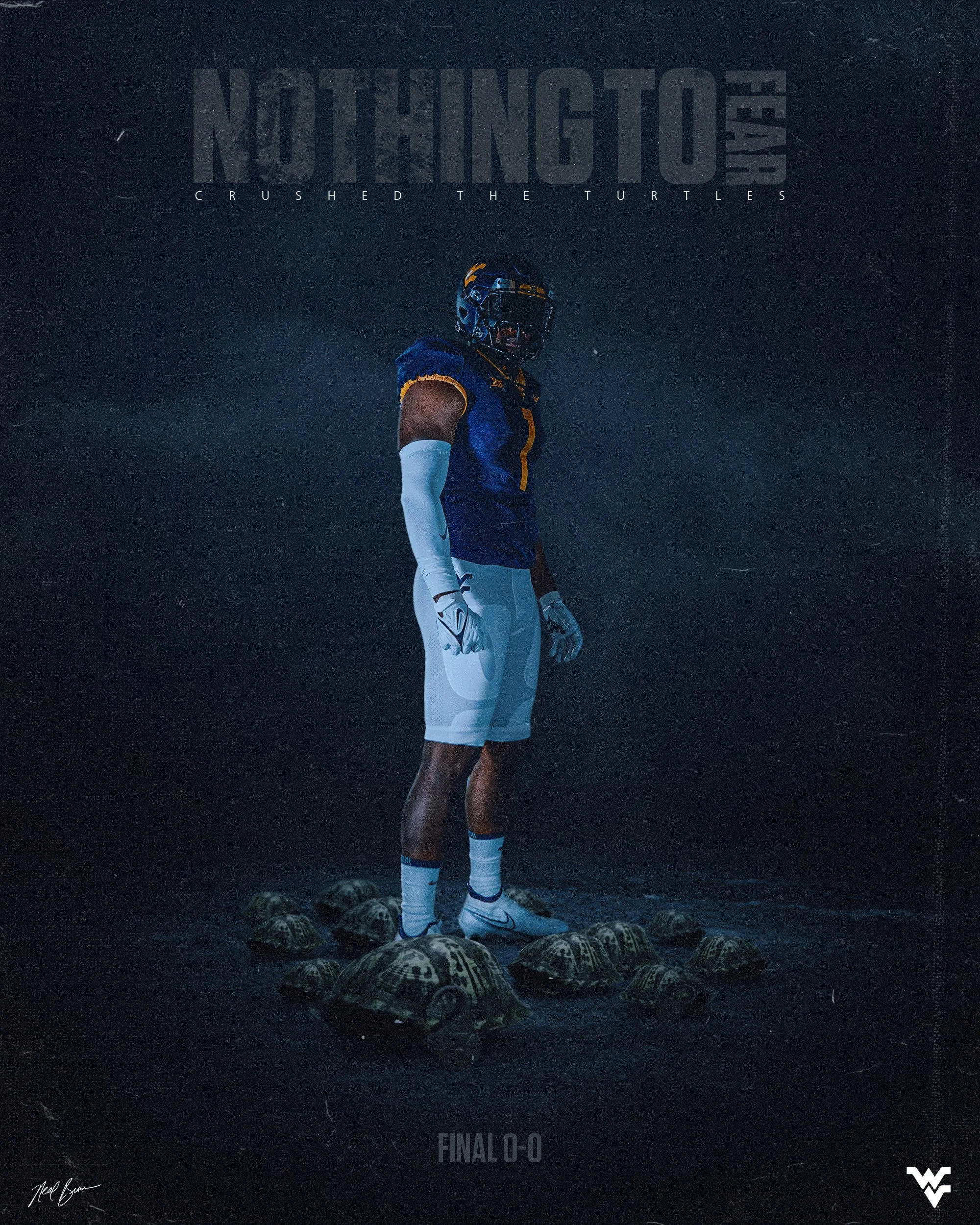 crushed the turtles2 copy.jpg