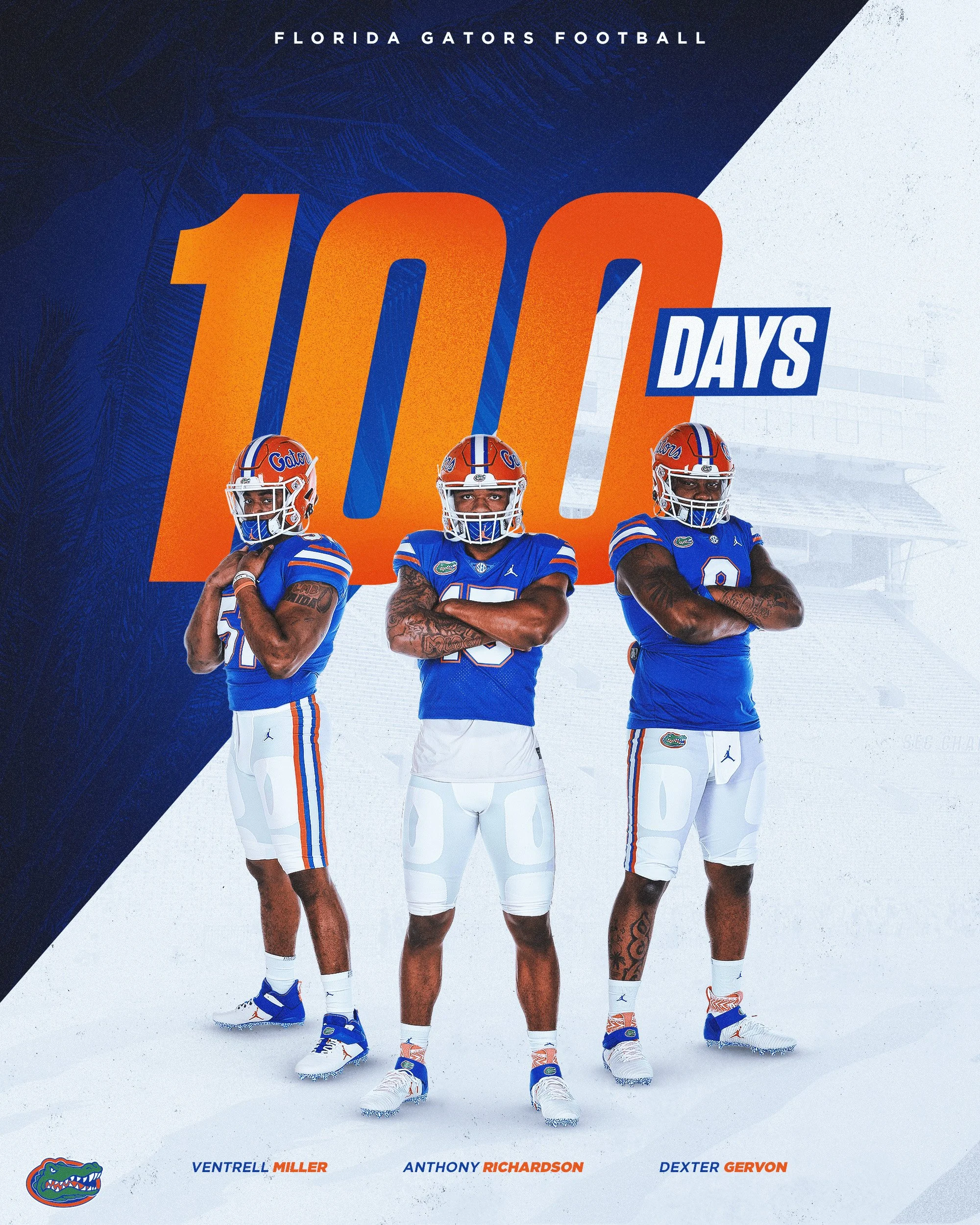 100 days graphics copy.jpg