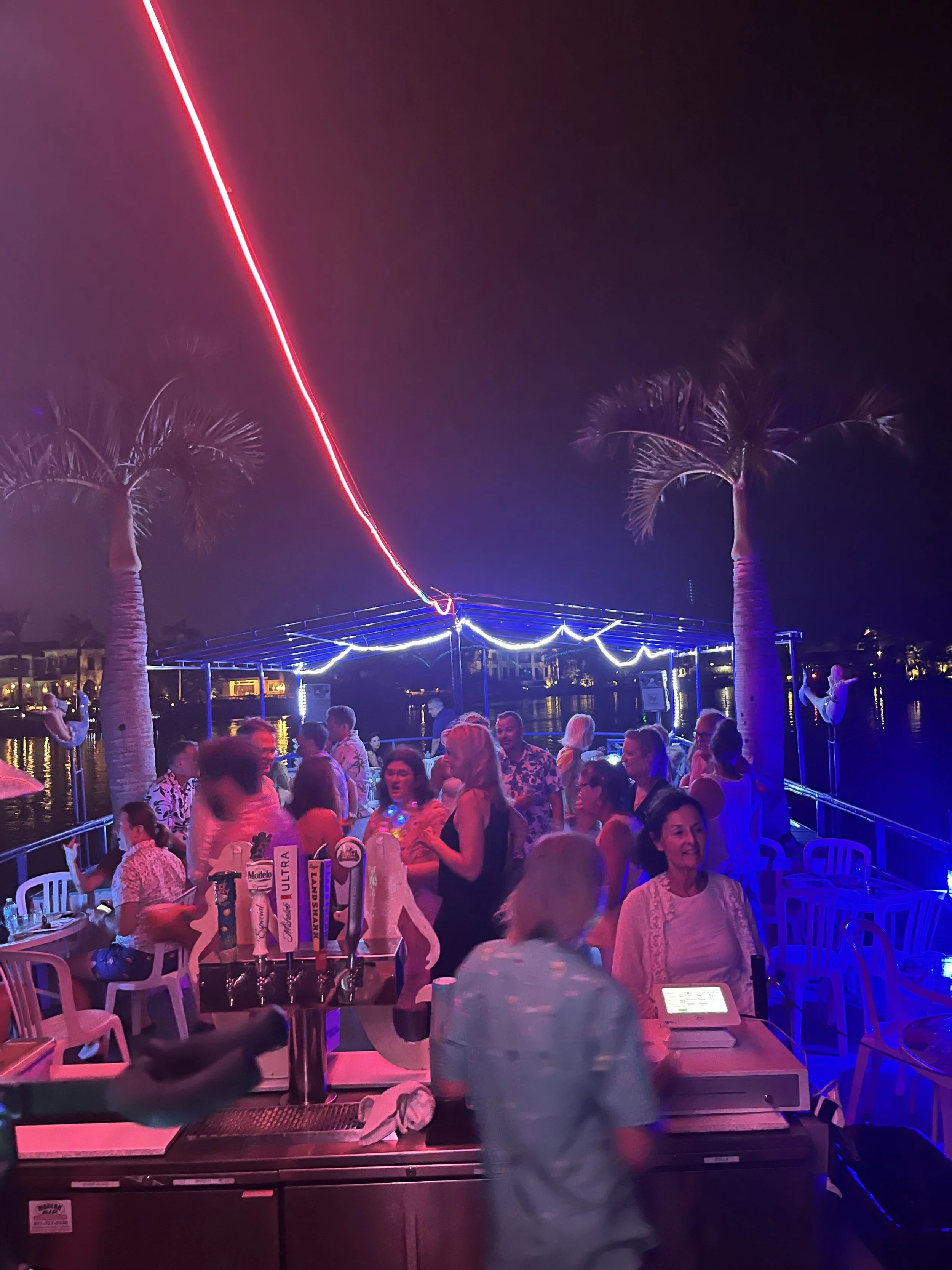 Wedding Party - On Cruise Ship!