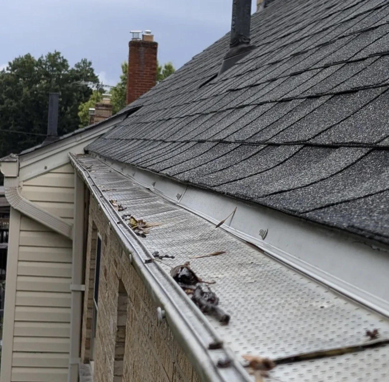I Just Got a New Roof. How Do I Still Have an Animal in My Attic?