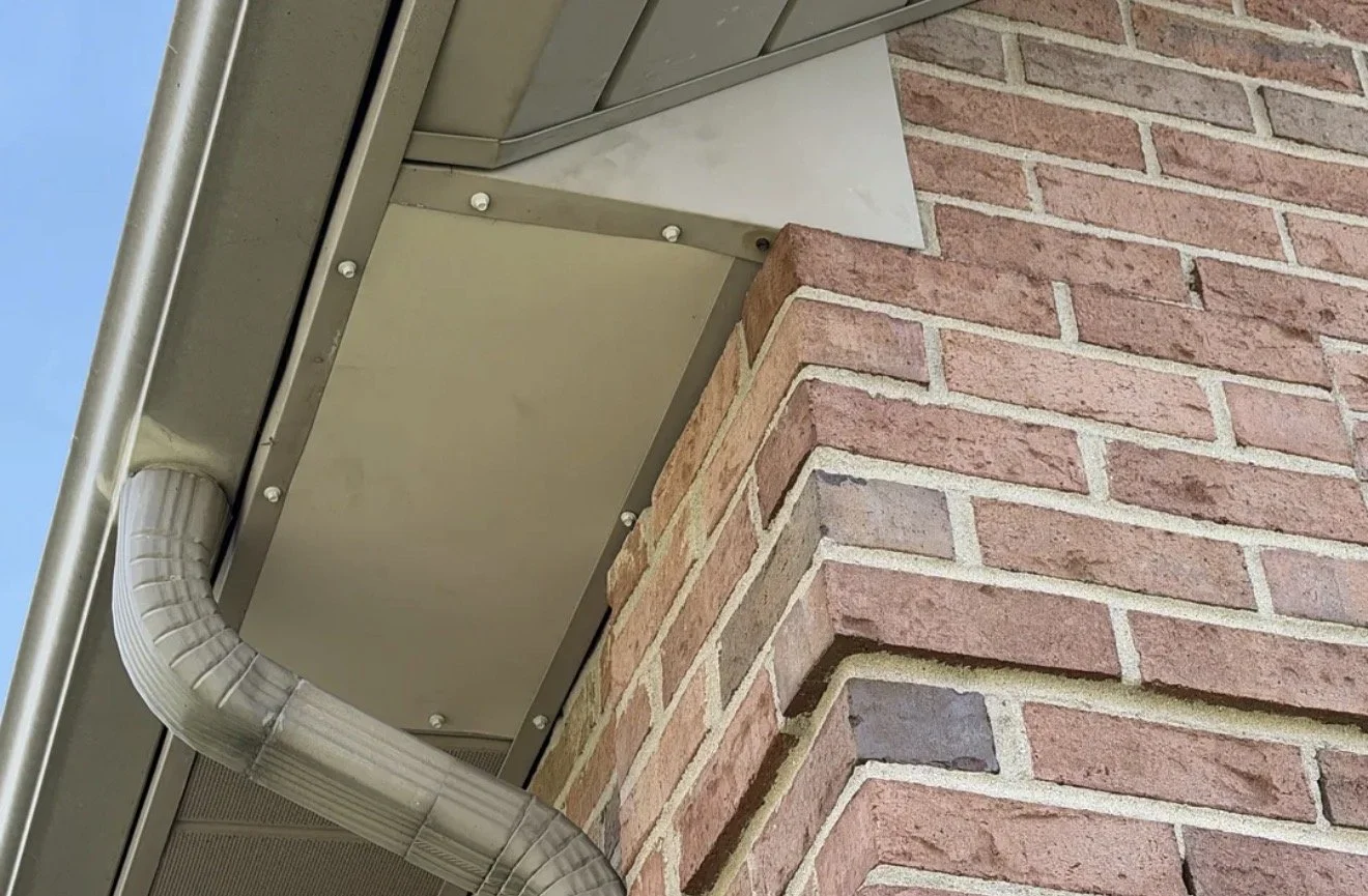 Can a Raccoon Really Climb My Downspout and Get Onto the Roof?
