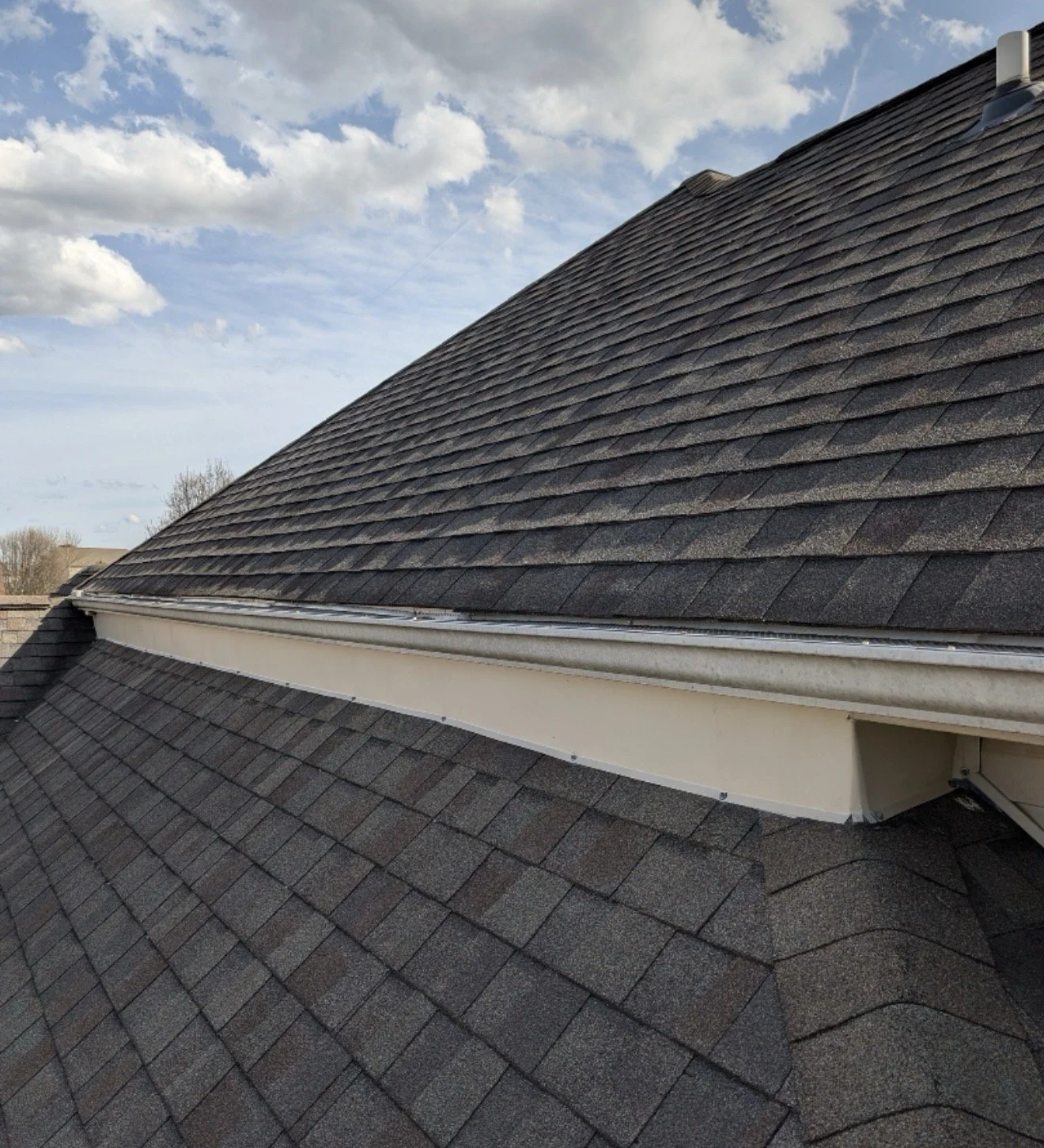 Close-up of a house roof with asphalt shingles and a gutter system, under a partly cloudy sky. Animal exclusion work and color matched siding.