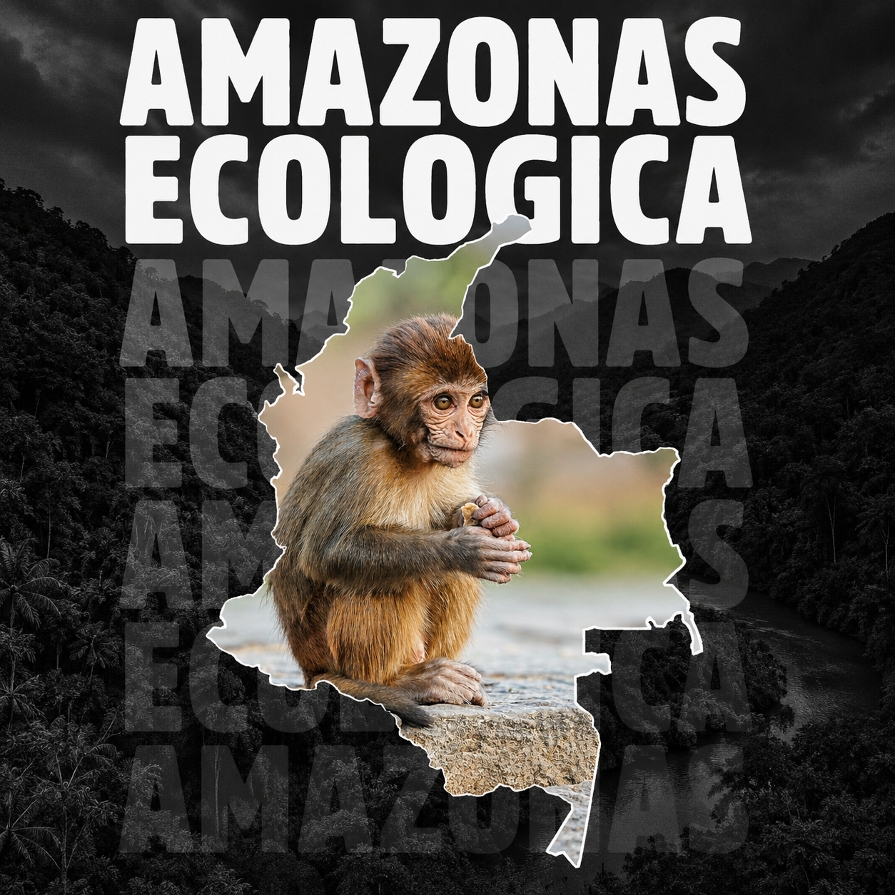 Amazonas Destino Ecológico