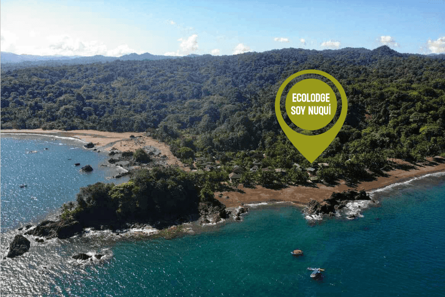 IM-12-Galeria-Ecolodge-Soy-Nuqui-Cambios-Almar-Viajes-y-Turismo.png