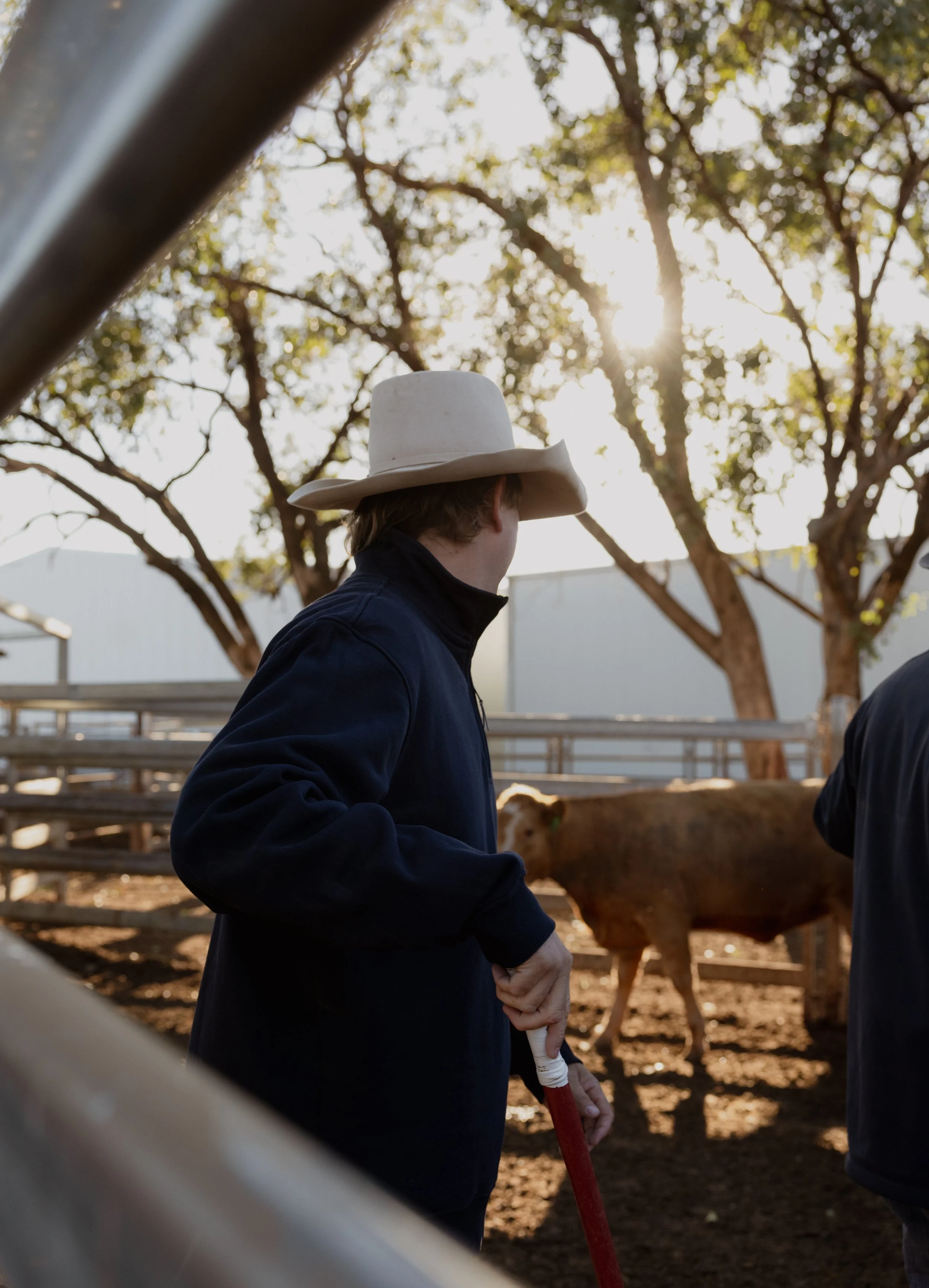 Jim Blain standing inside a feedlot, next to a metal railing at a farm or ranch, with a partially visible cow in the foreground, under midday or late afternoon sunlight.
