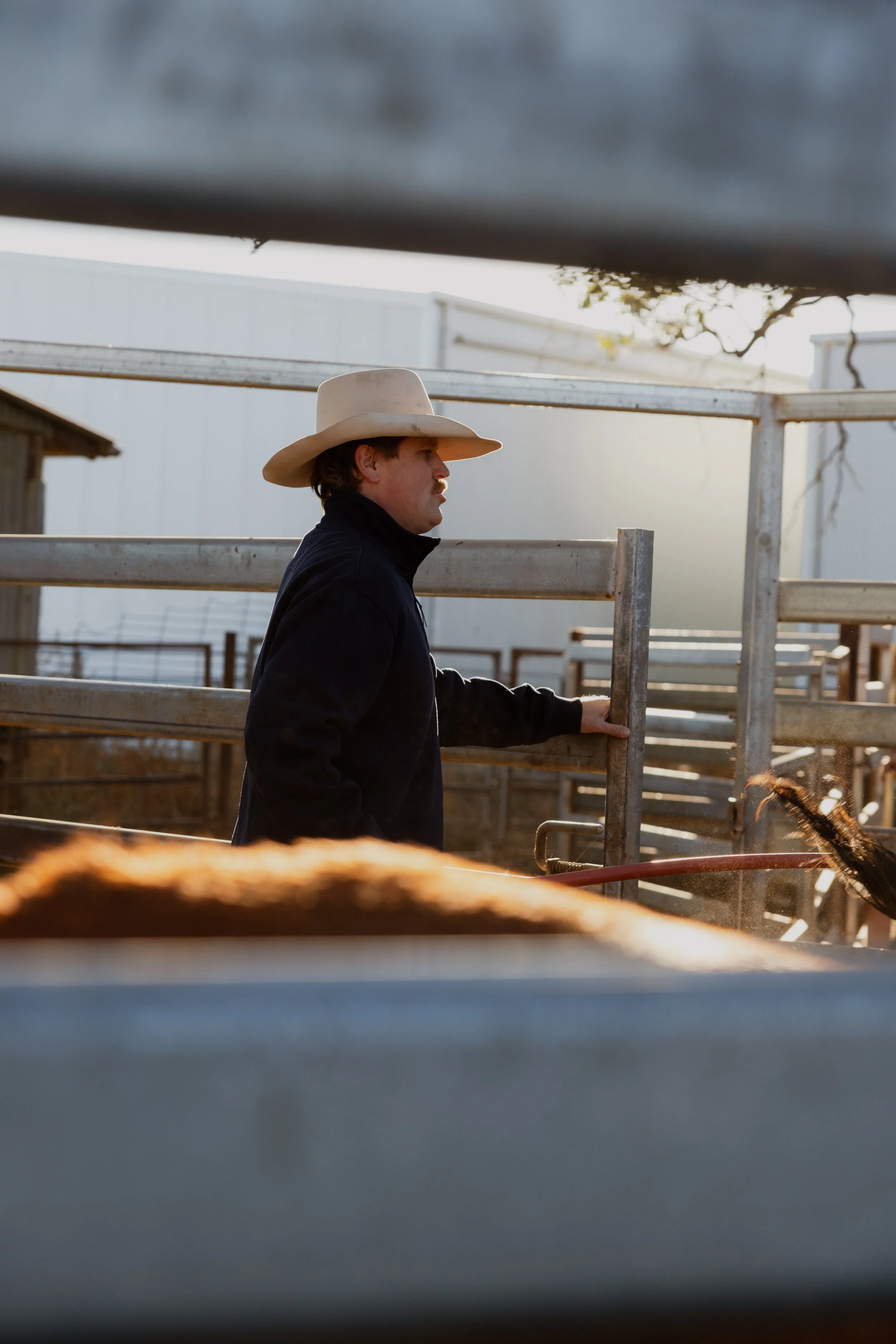 Jim Blain standing inside a feedlot, next to a metal railing at a farm or ranch, with a partially visible cow in the foreground, under midday or late afternoon sunlight.