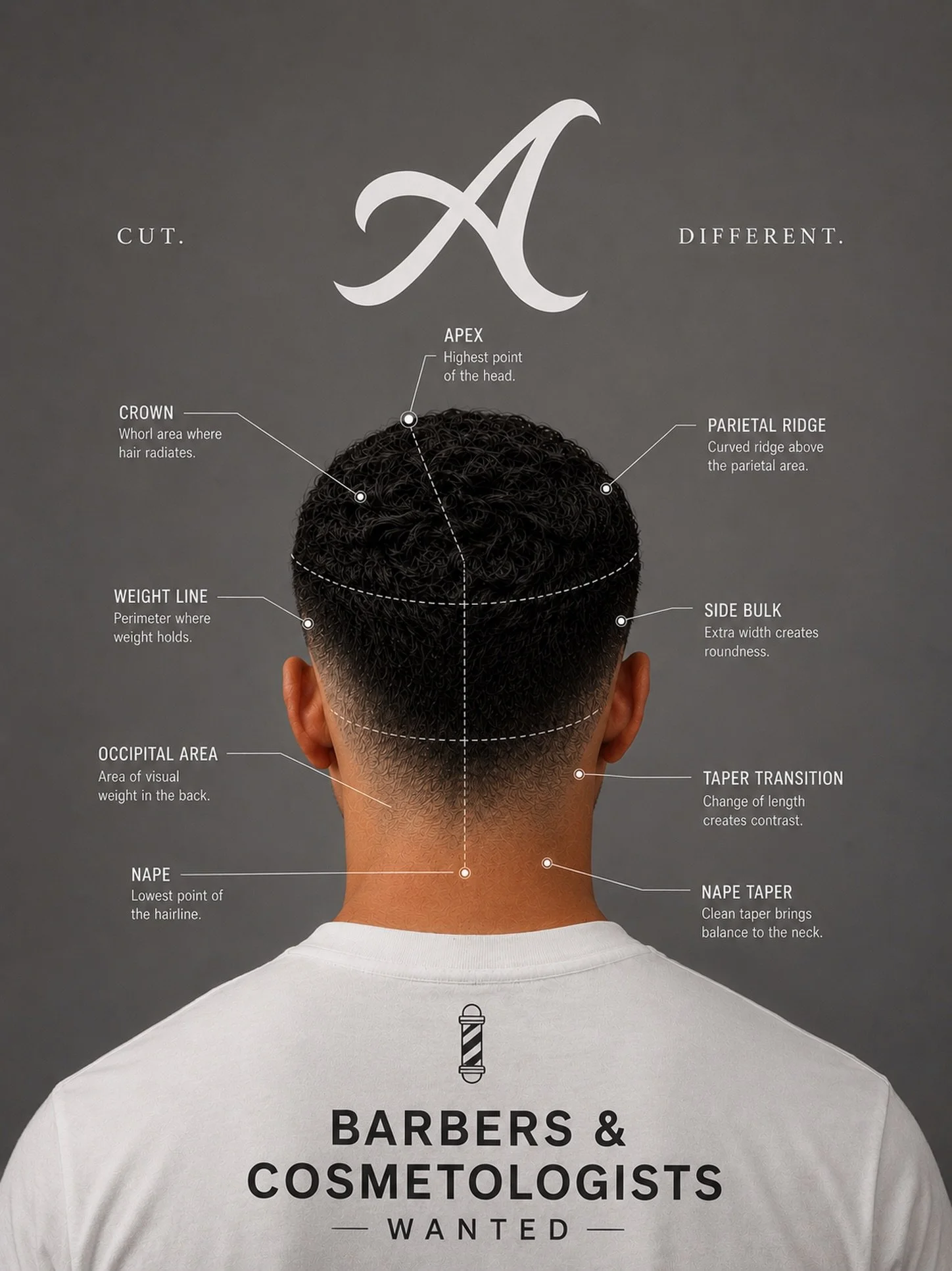A few openings.
A high standard.

If you&rsquo;re serious about your craft and ready for your next level, we will like to hear from you.

BARBERS &amp; COSMETOLOGISTS WANTED.

Limited positions available. ⚔️

Apply here: https://www.afiladobrand.com/