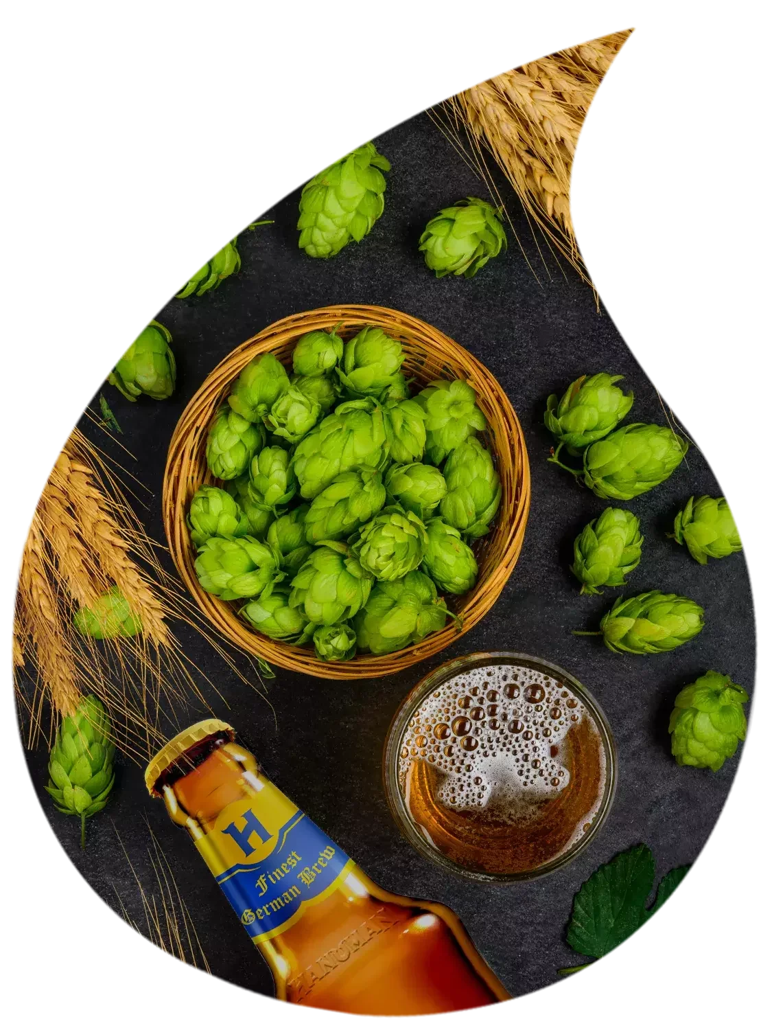 エールとホップが映ったビールの飲み物と、ホップの束、ビールの瓶が写っています。