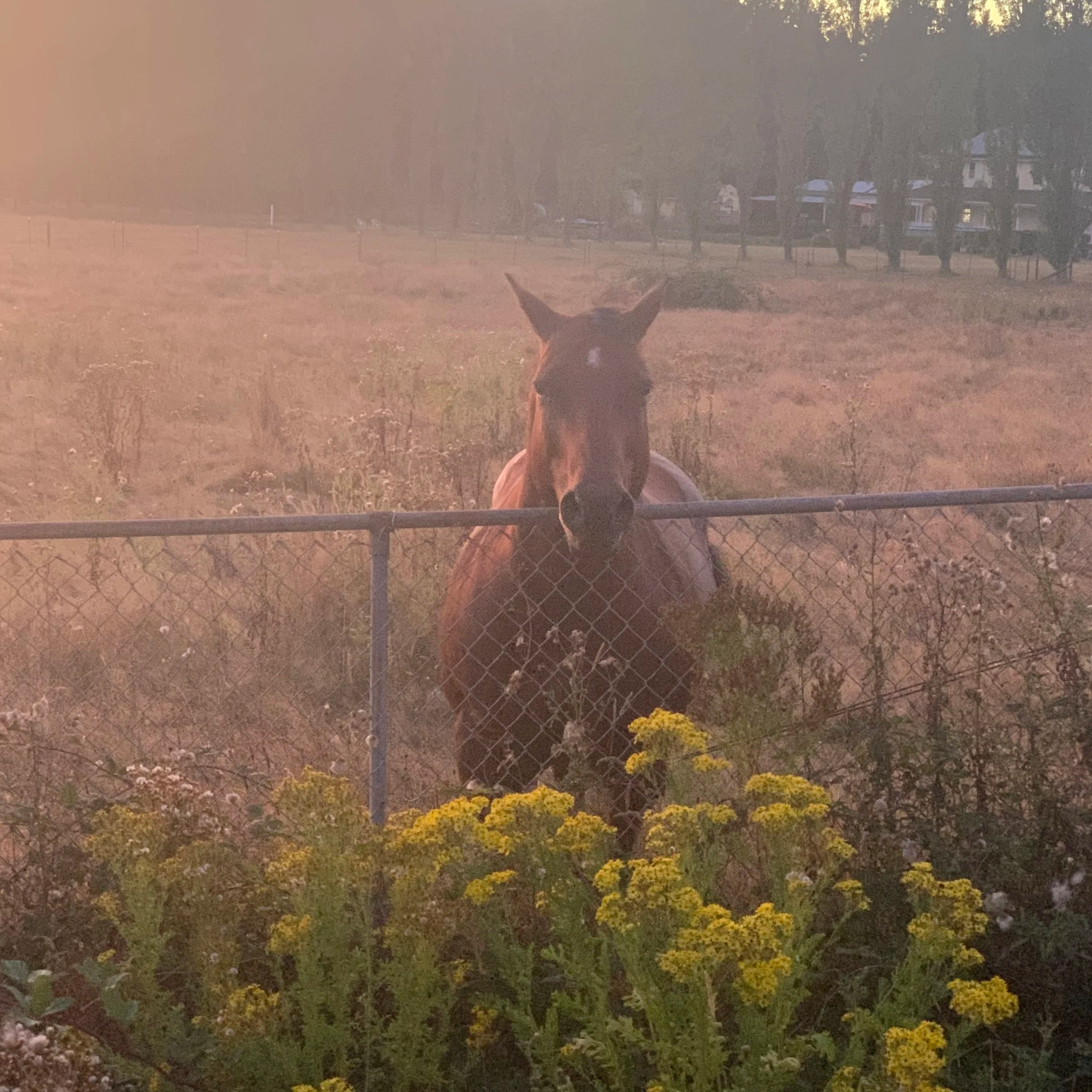 A playlist for slow, soft power