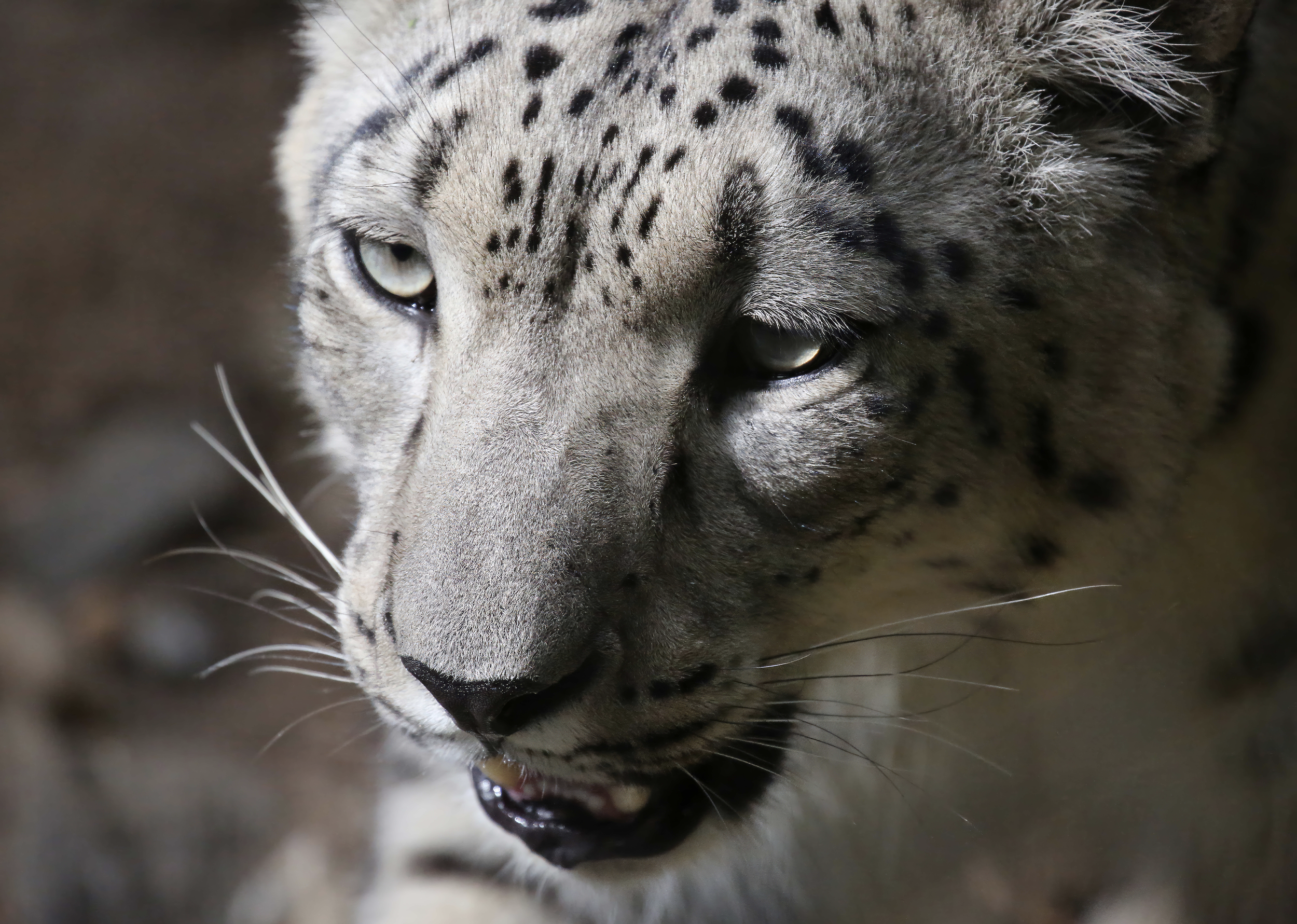 Screen Shot 2026-03-28 at 12.22.40 PM.png