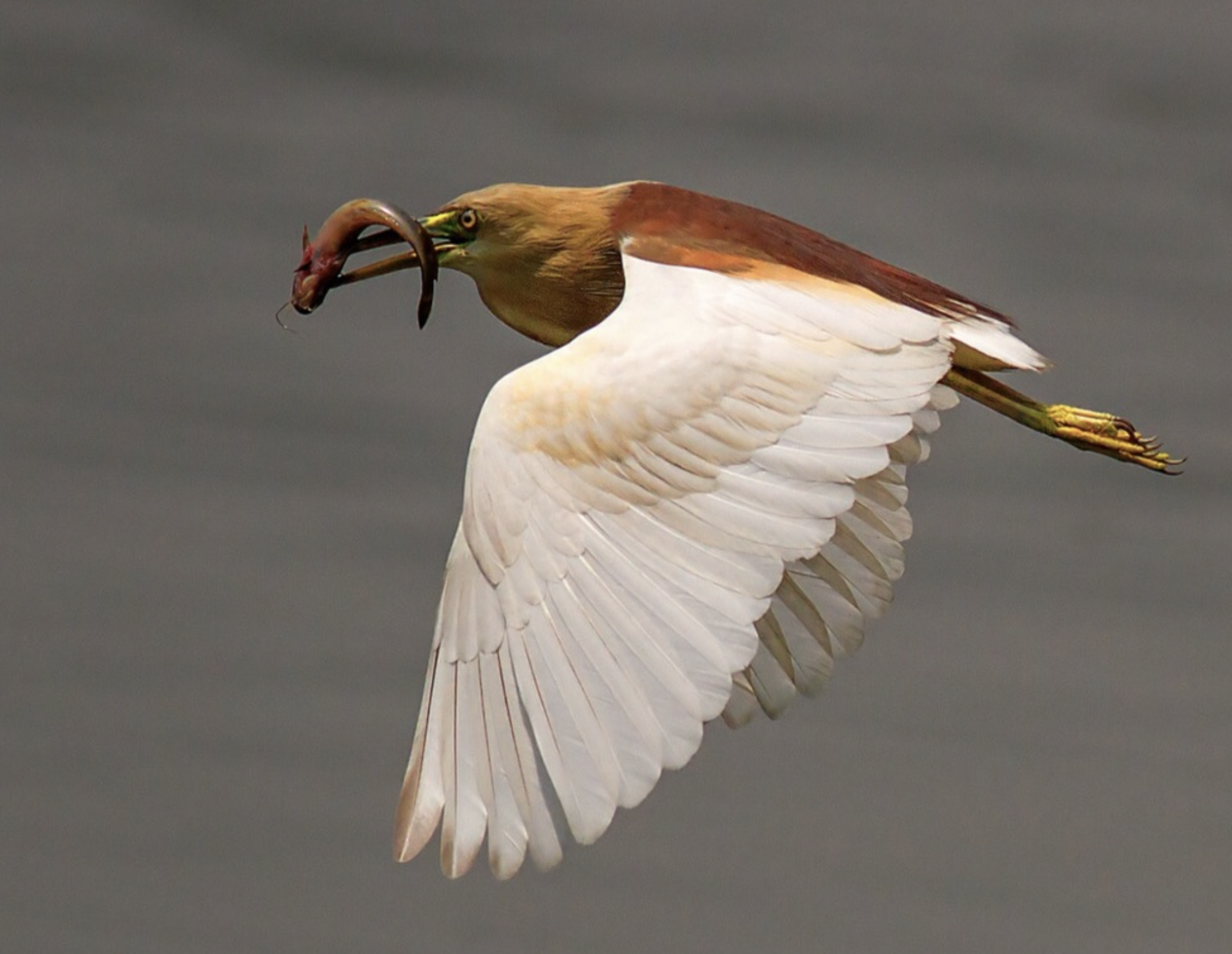 Screen Shot 2026-03-17 at 6.25.46 PM.png