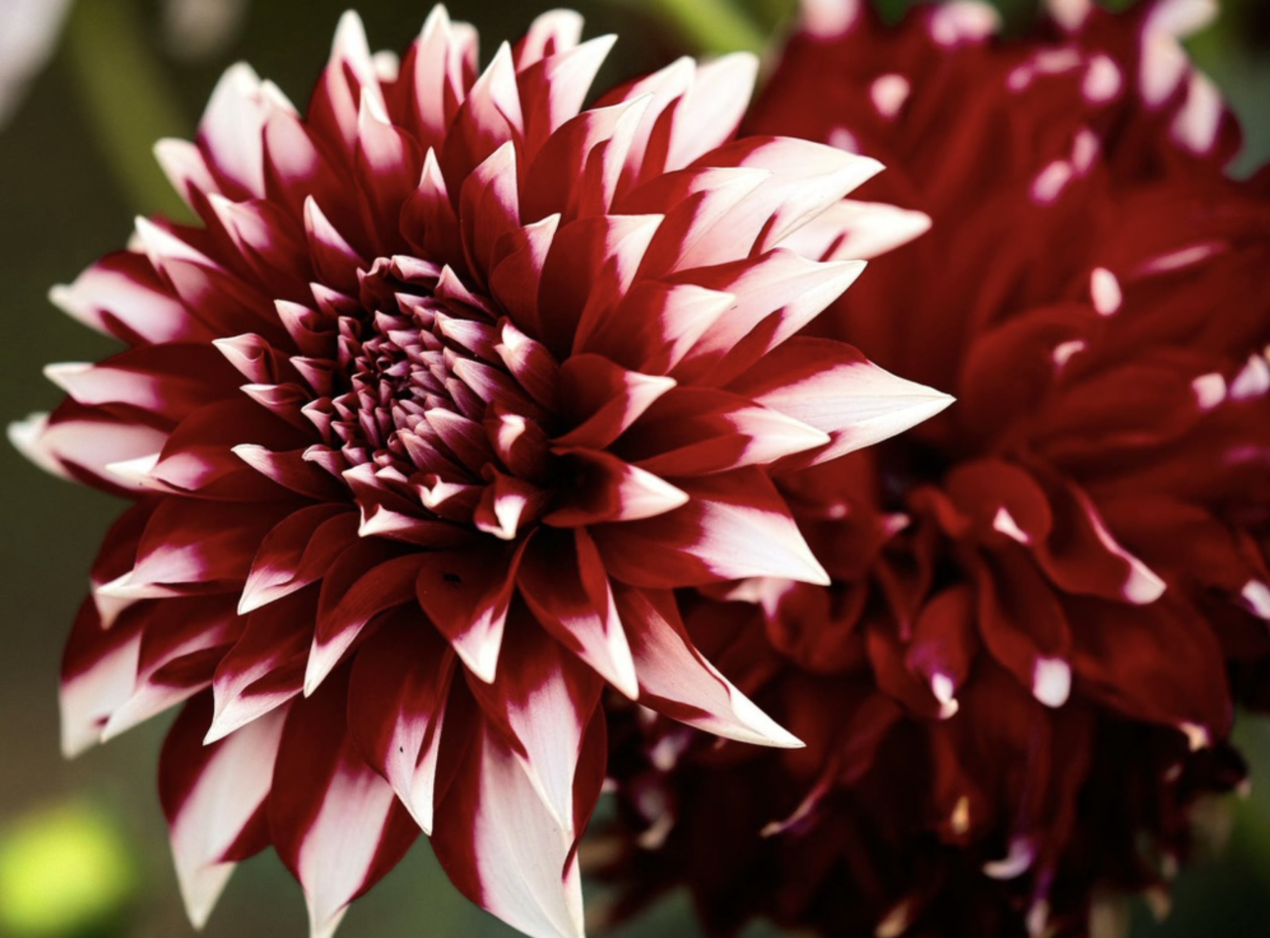 Screen Shot 2026-03-17 at 6.32.32 PM.png