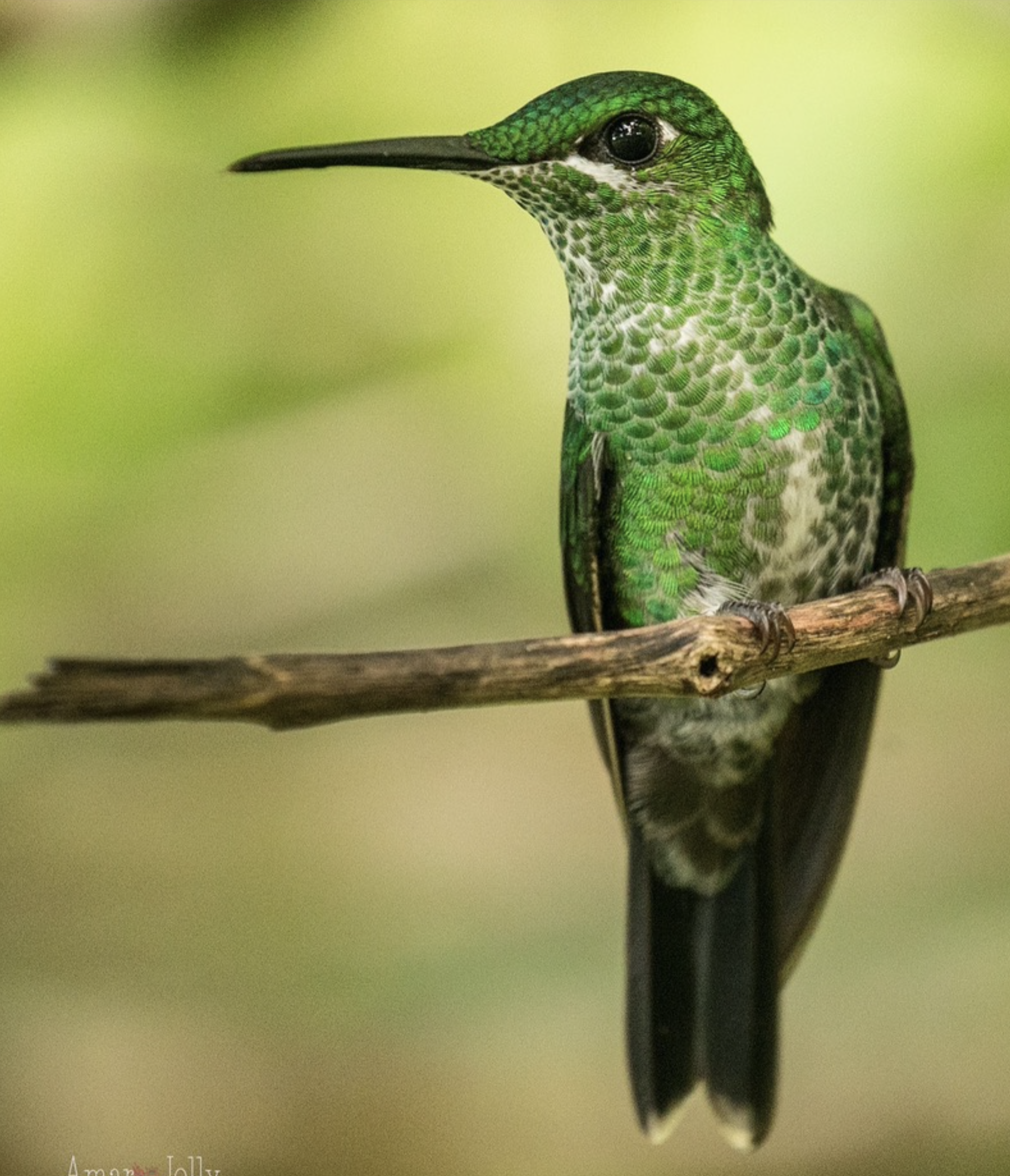 Screen Shot 2026-03-17 at 6.27.00 PM.png