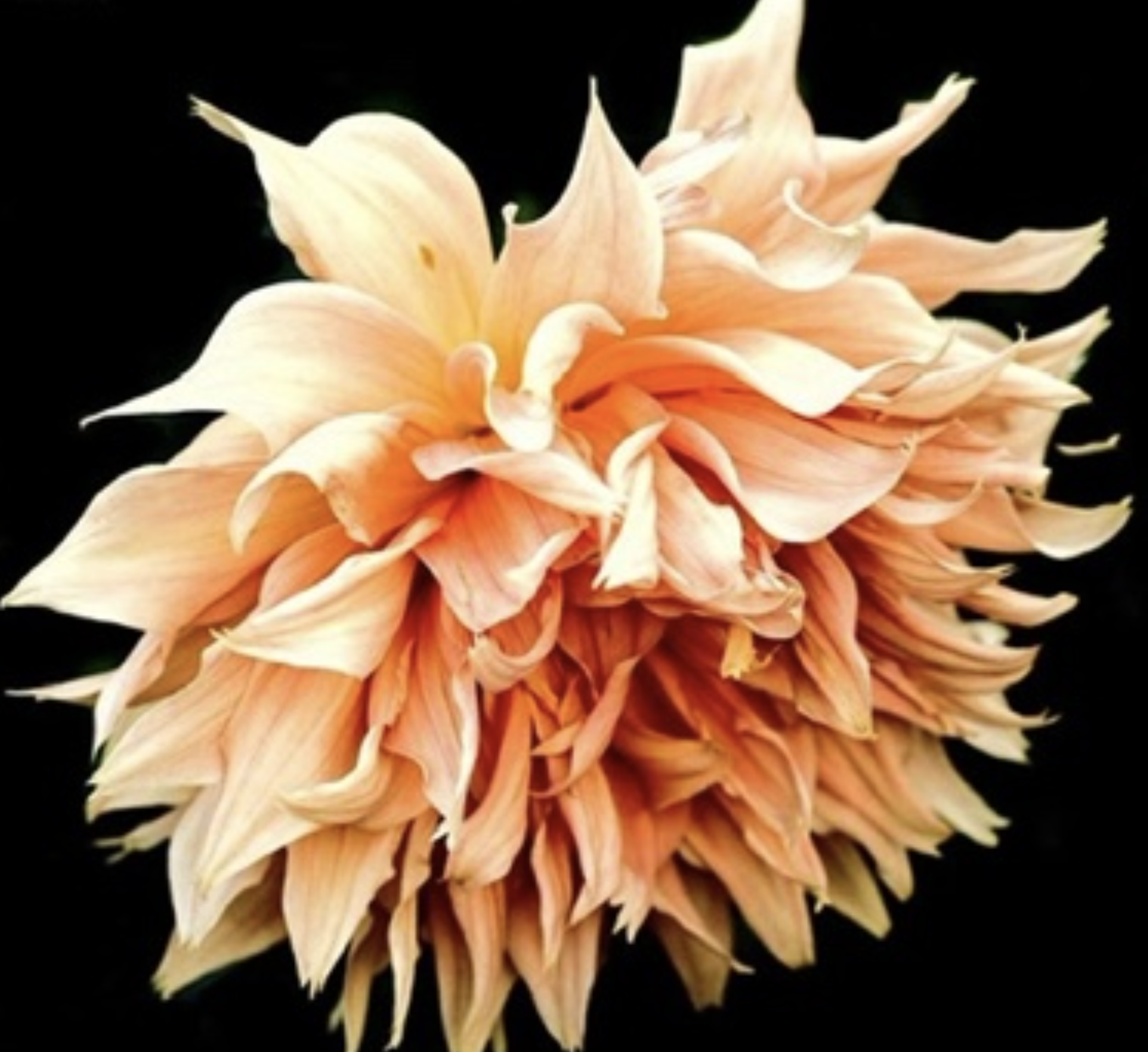 Screen Shot 2026-03-17 at 6.32.50 PM.png