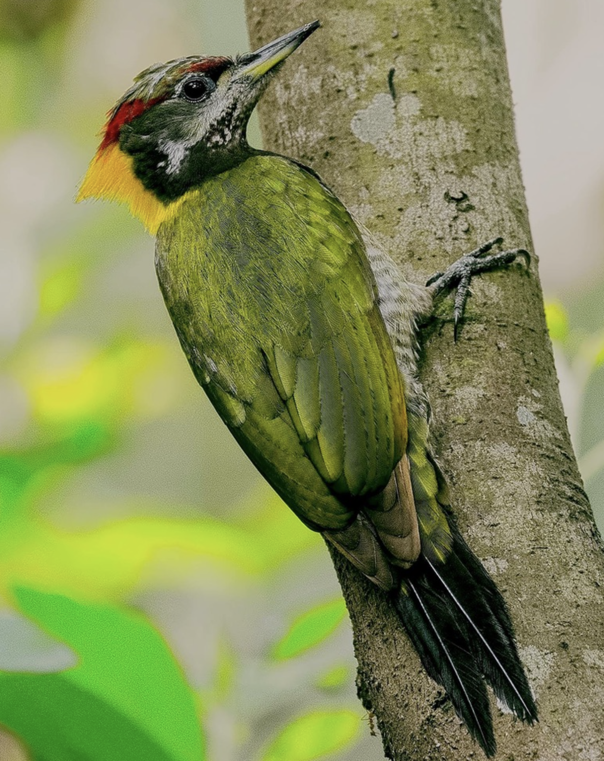 Screen Shot 2026-03-17 at 6.33.59 PM.png