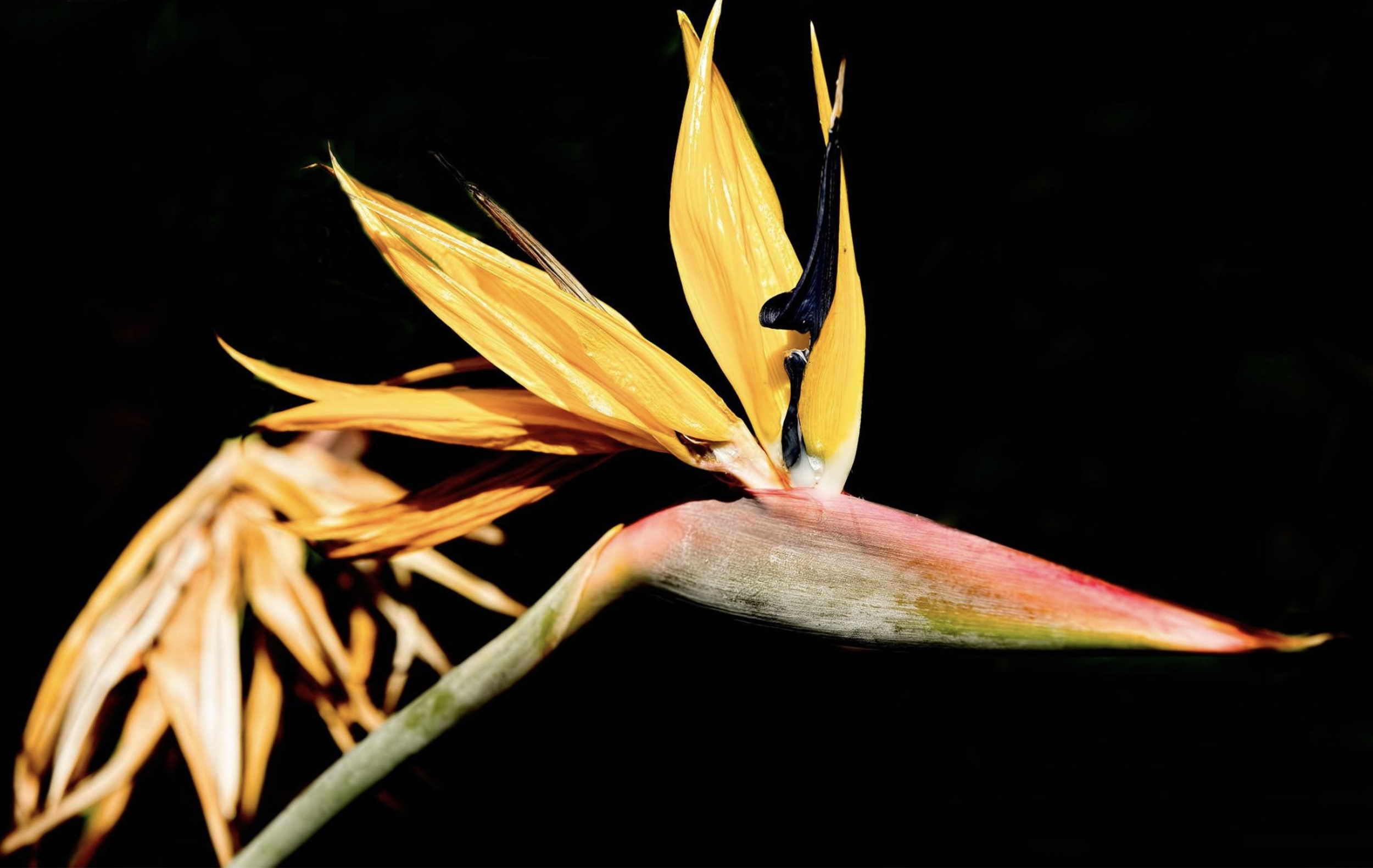 Screen Shot 2026-03-23 at 11.08.43 AM.png