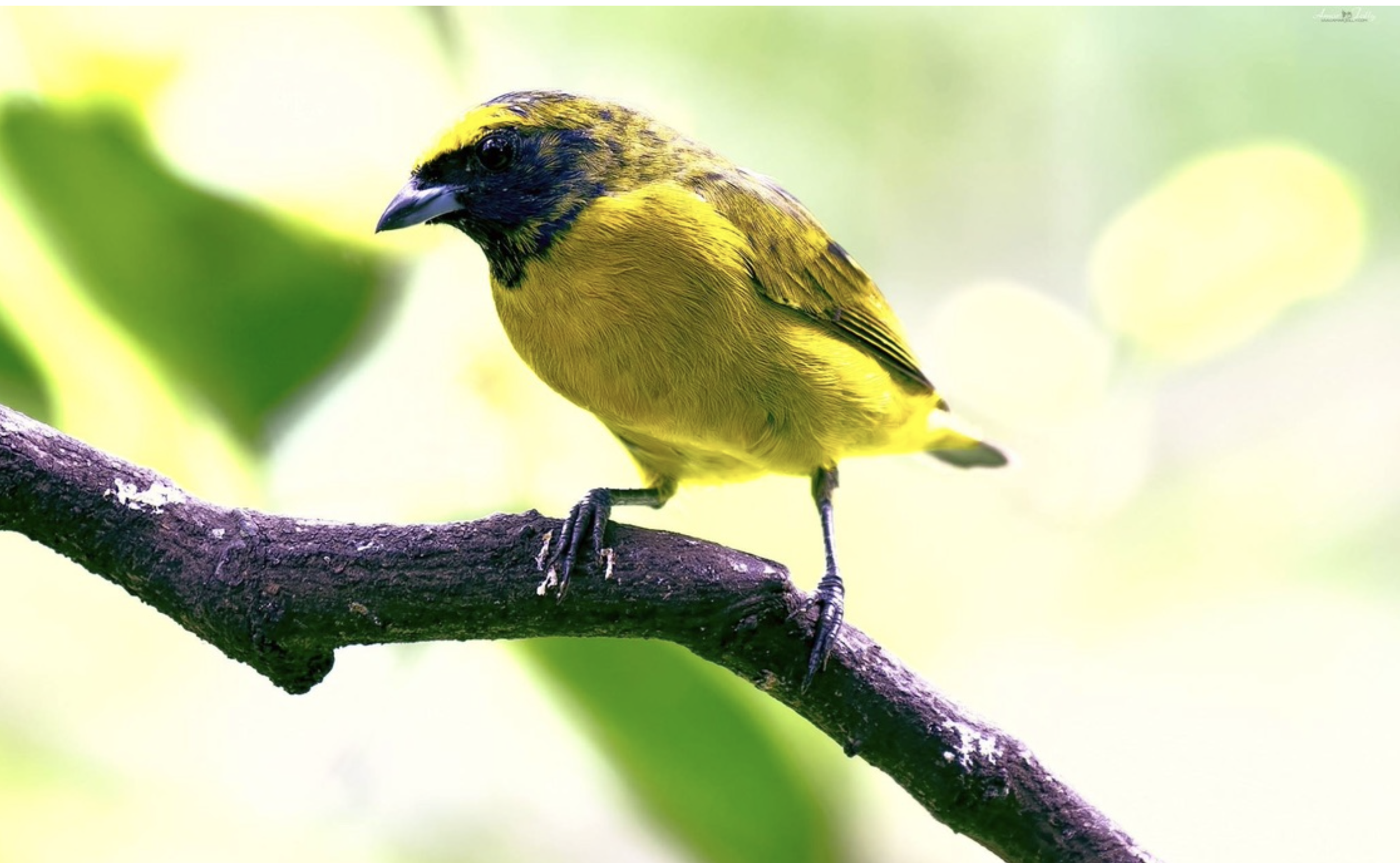 Screen Shot 2026-03-17 at 6.34.27 PM.png