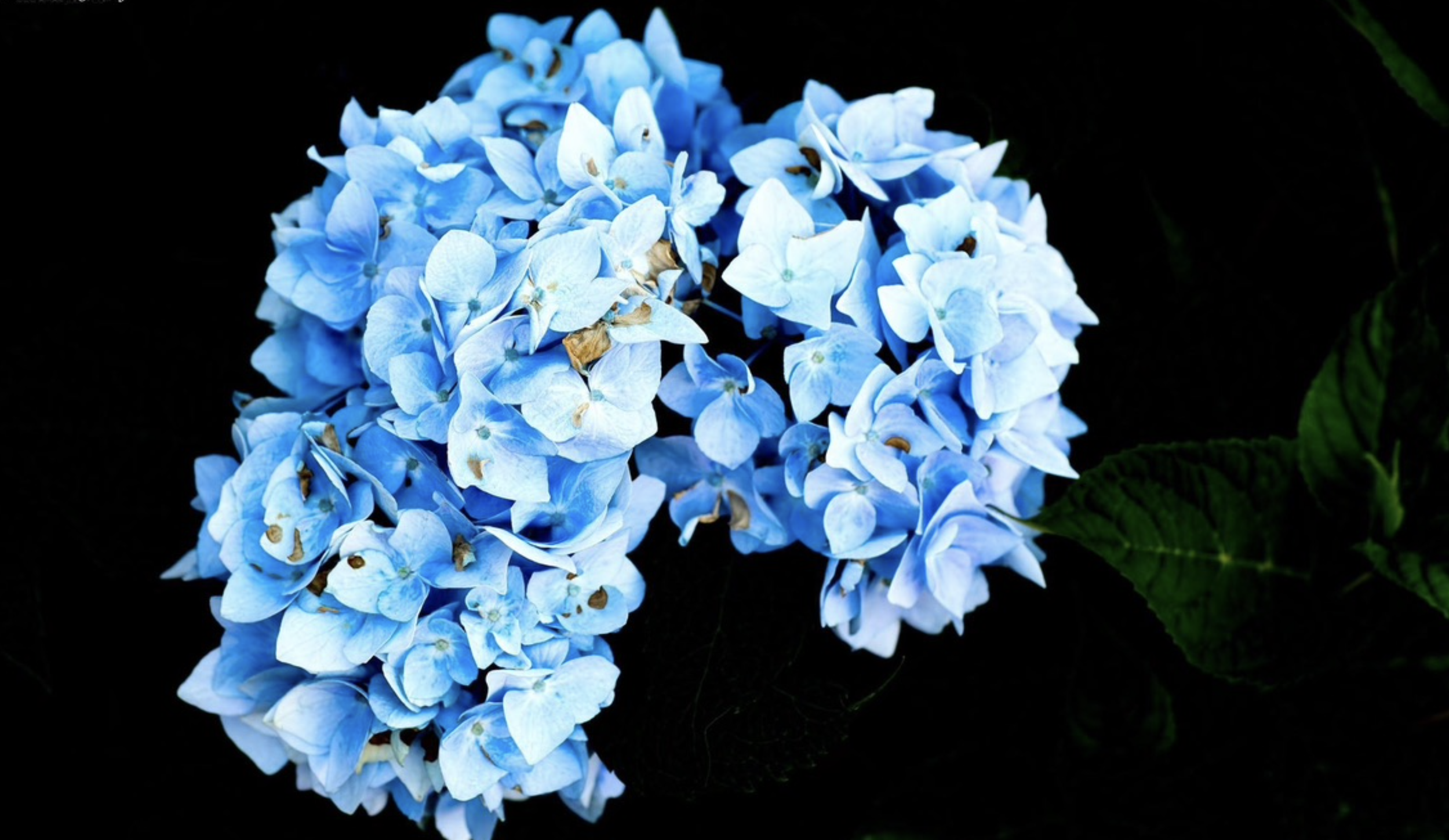 Screen Shot 2026-03-17 at 6.31.47 PM.png