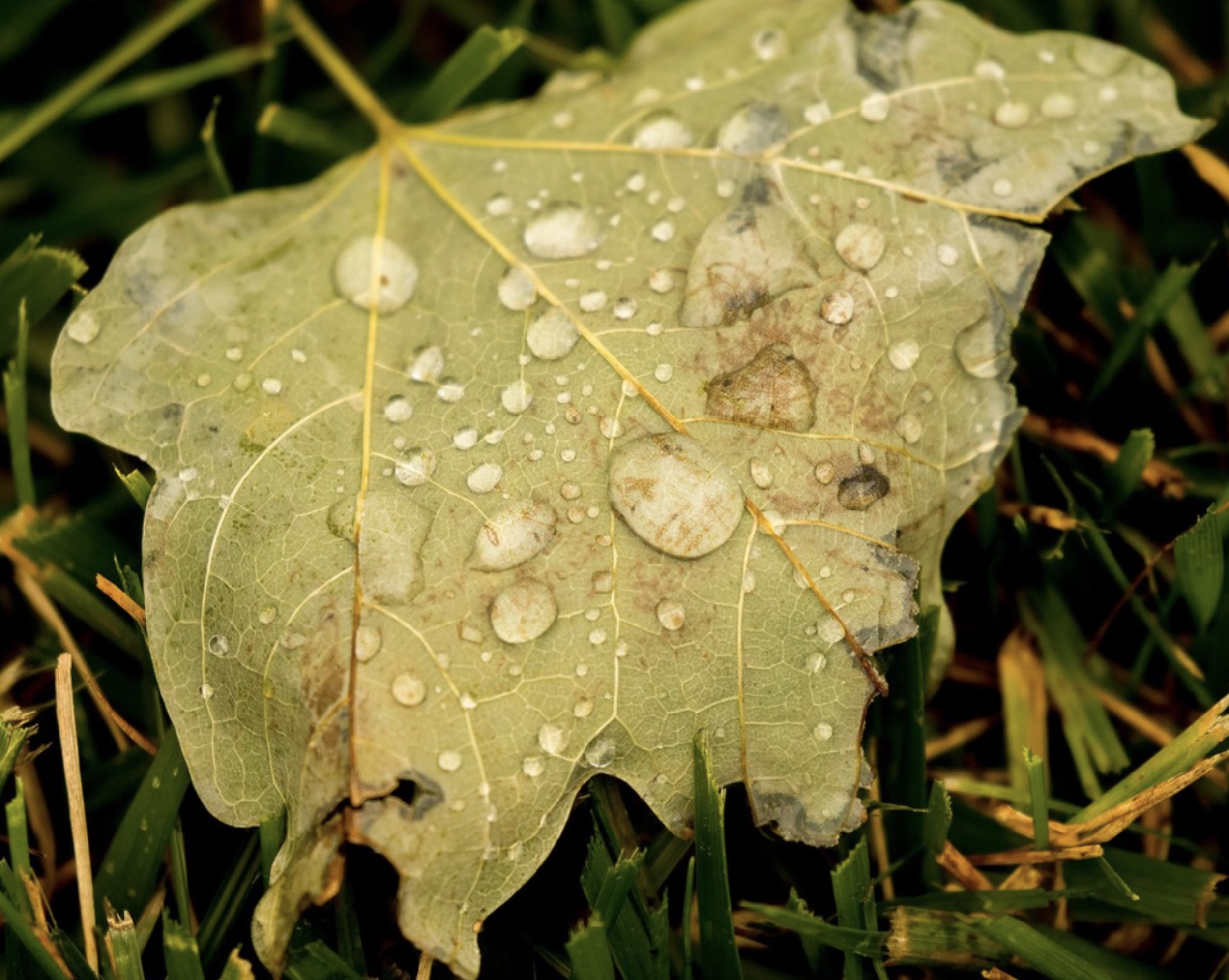 Screen Shot 2026-03-17 at 6.32.02 PM.png