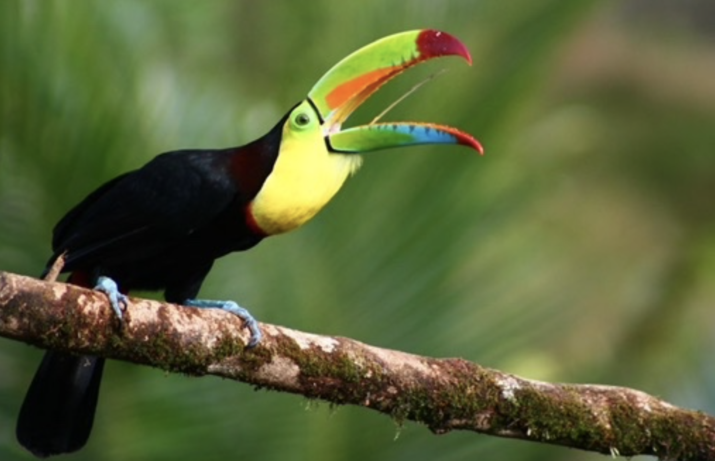 Screen Shot 2026-03-17 at 6.34.52 PM.png