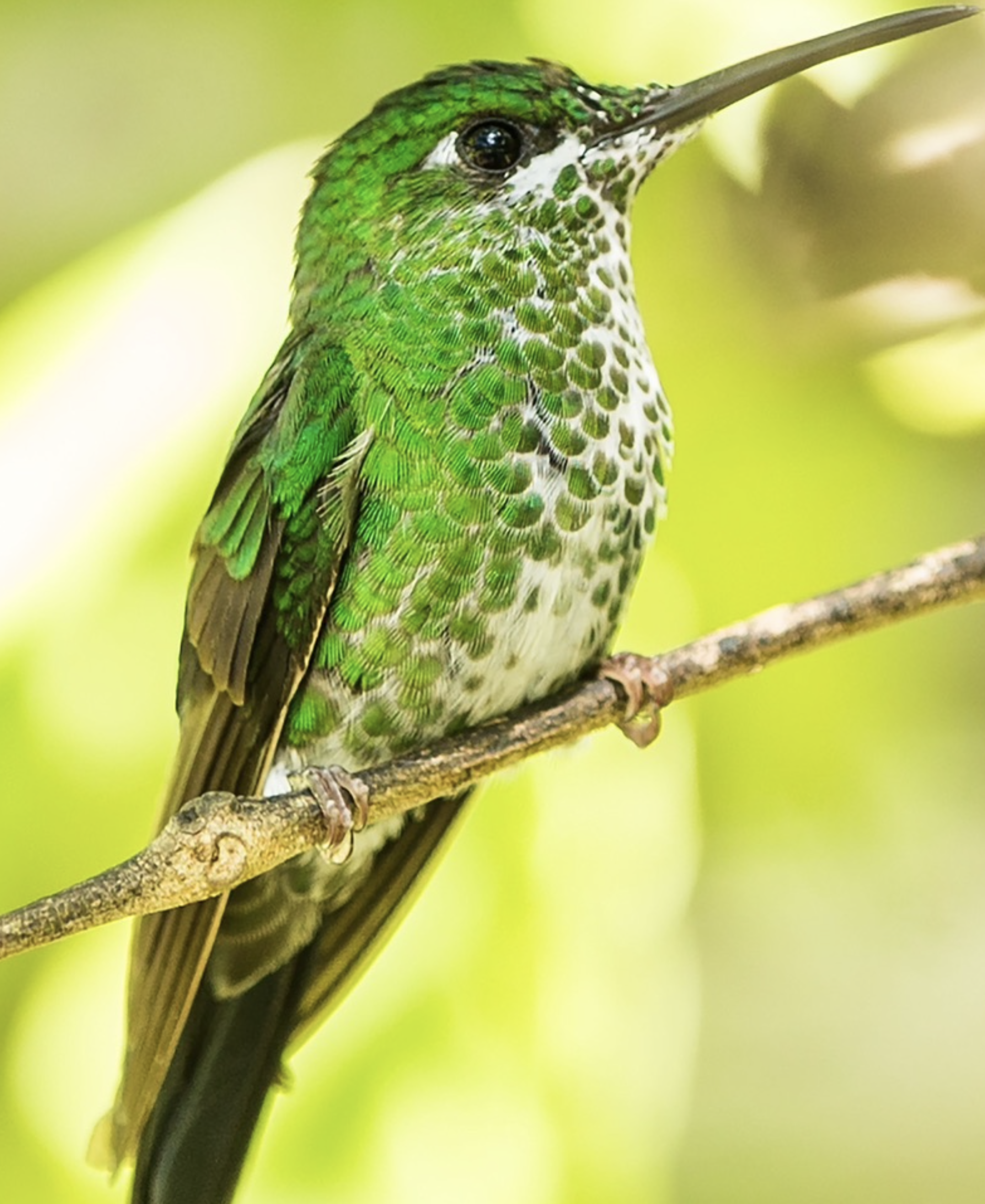 Screen Shot 2026-03-17 at 6.26.49 PM.png