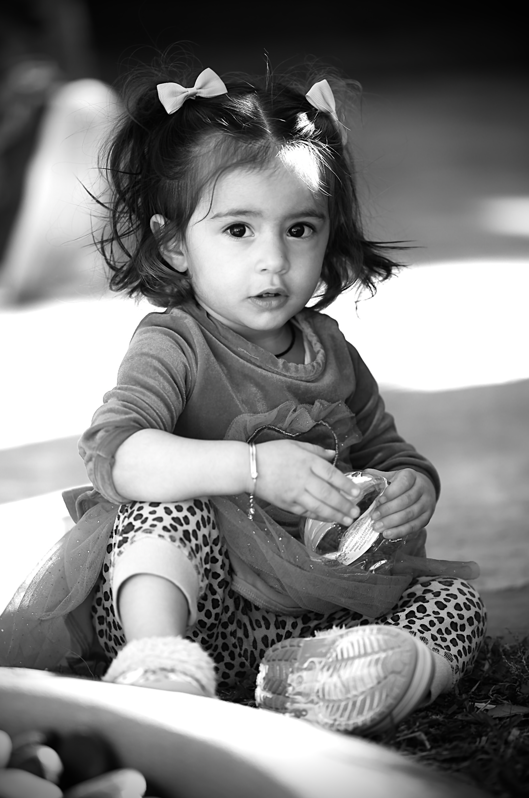 Screen Shot 2026-03-23 at 11.06.42 AM.png