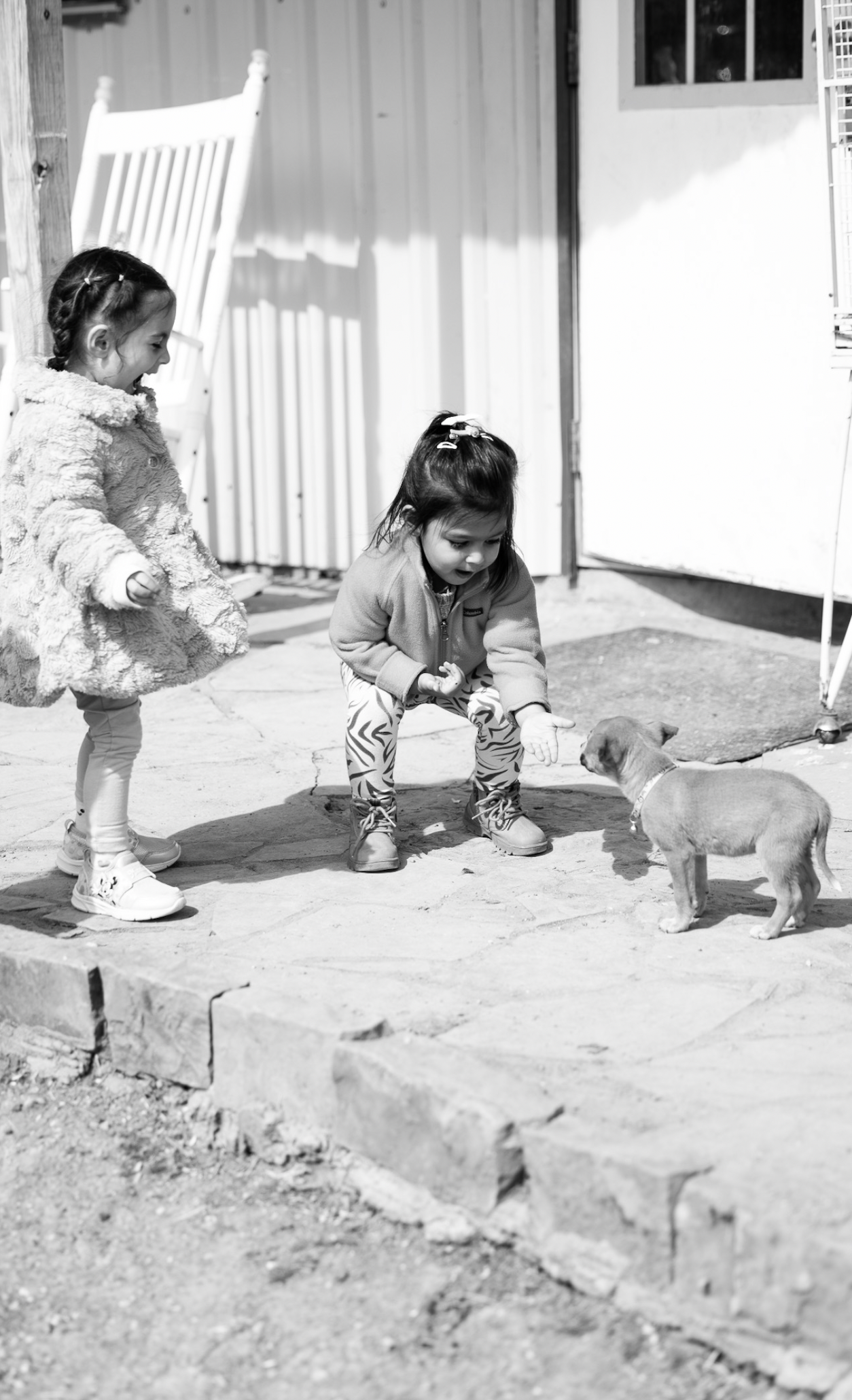 Screen Shot 2026-03-23 at 11.05.23 AM.png