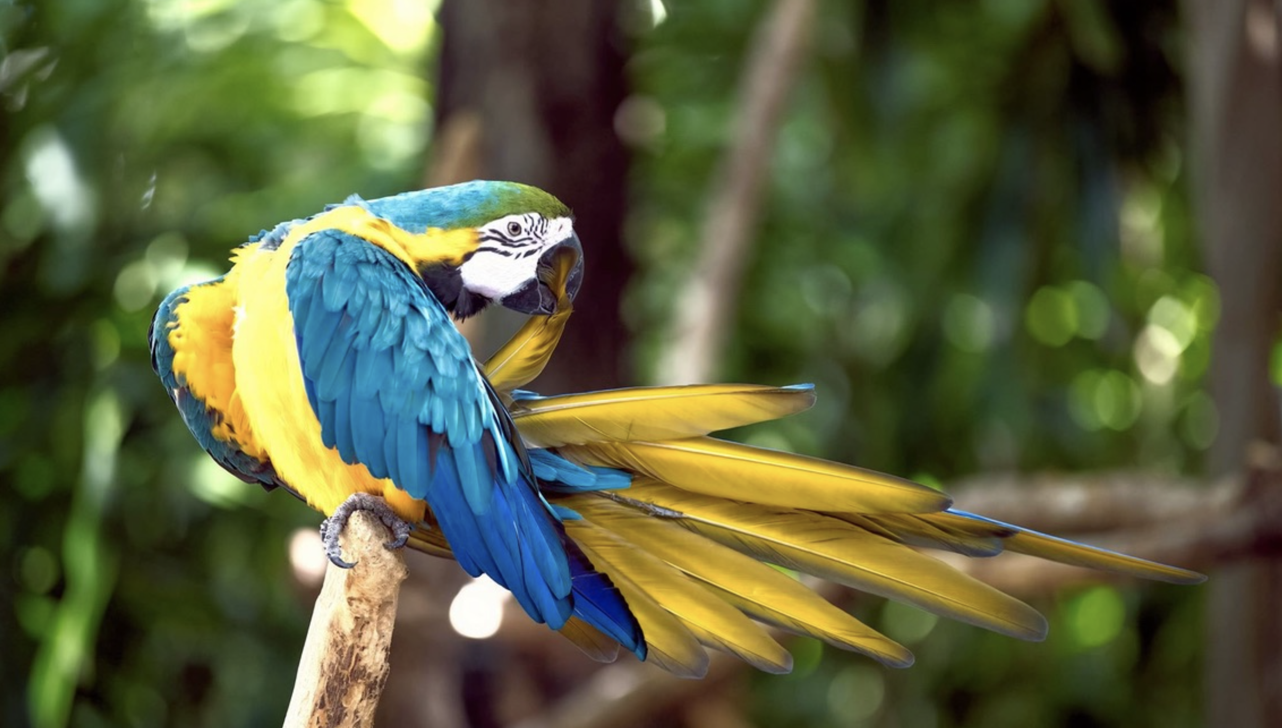 Screen Shot 2026-03-17 at 6.34.40 PM.png