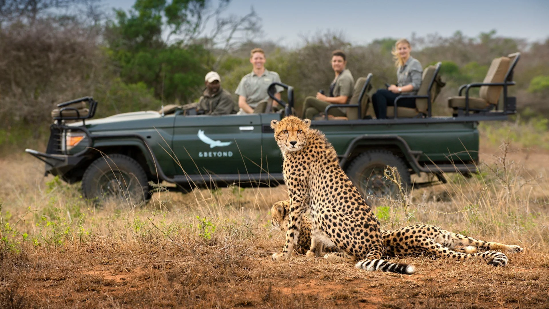 &amp;Beyond Phinda: Safari Distilled