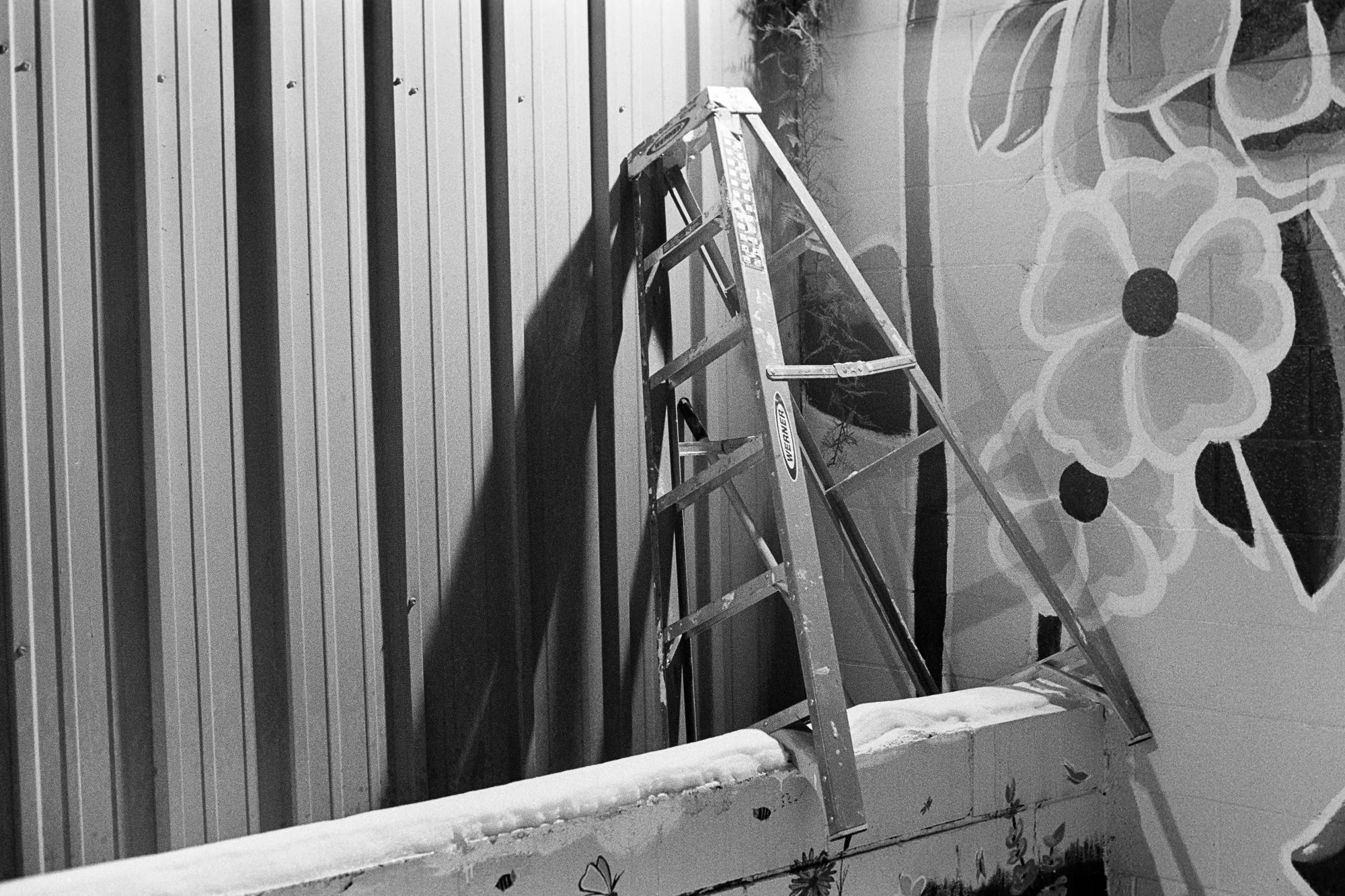 Nikon F3, Nikkor AI-S 50mm f/1.4
Kodak Tri-X 400