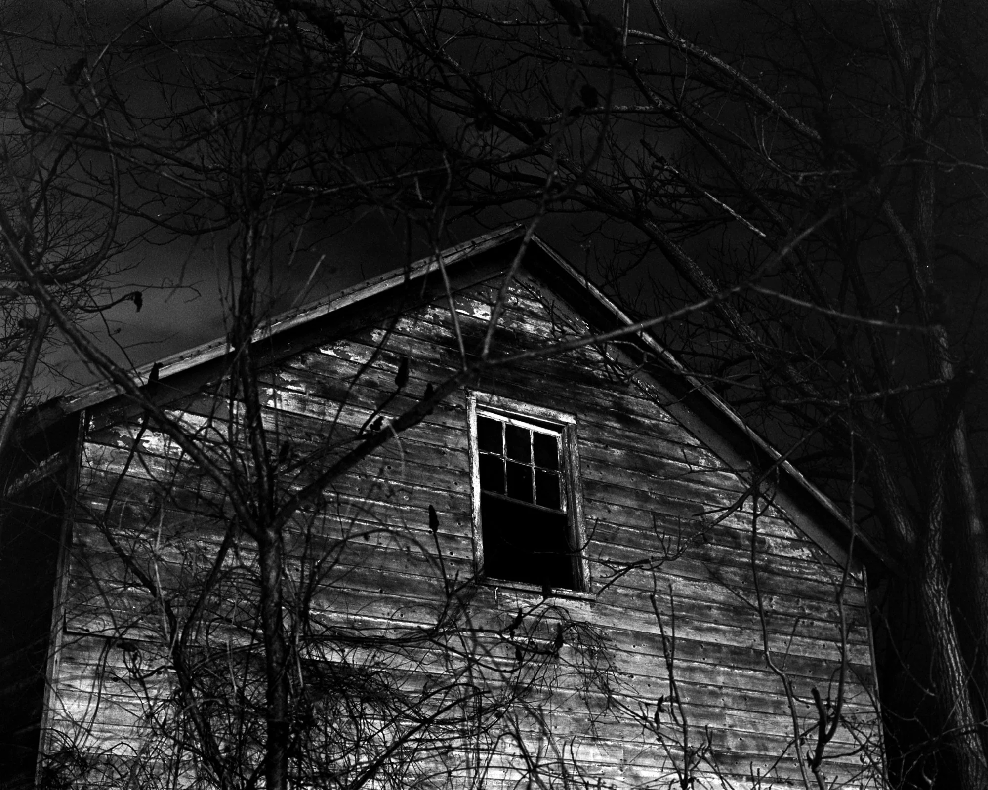 Bronica GS-1, Zenzanon-PG 100mm f/3.5
Kodak Tri-X 400