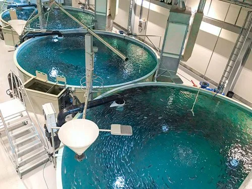 Industrial water treatment tanks in a factory.