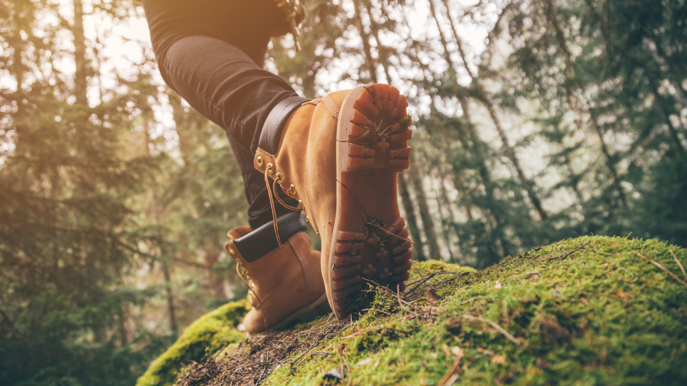 Oh, the Places You Can Go