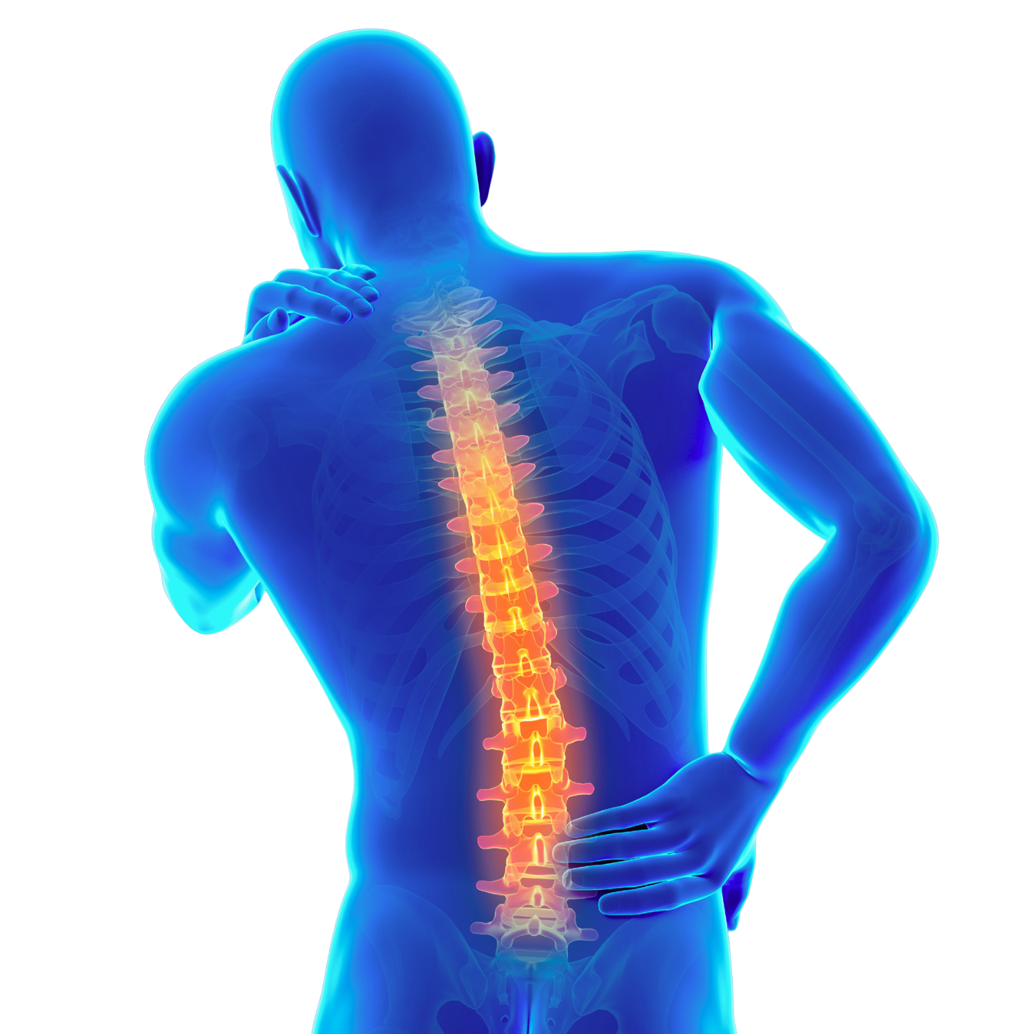 Alignment & Longevity | Enhance Mobility Today – Book Your Assessment ...