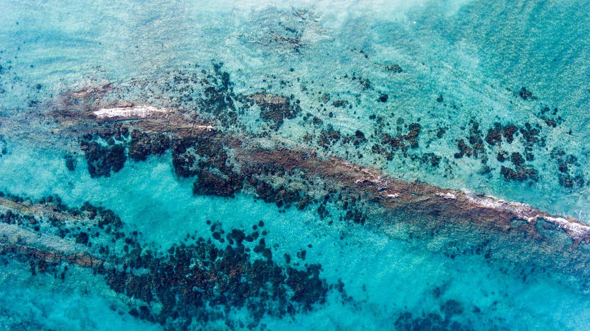 Una toma aérea revela un arrecife como un sistema vivo visto desde arriba, donde la estructura se vuelve mapa. Las formaciones coralinas dibujan patrones irregulares bajo la superficie del Golfo de California, alternando entre zonas densas y claros d